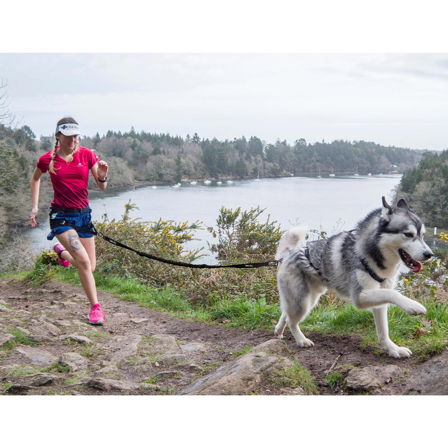 Longe de Traction pour Chien Gamme RAIDLIGHT,190 cm (étirée), Noir canicross, canirando, canijogging, canitrail, Utilisation Intense Sportive ou Loisirs, I-dog Marque Française.