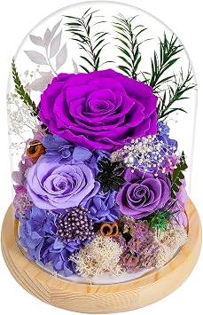 Forever Roses Gift in Glass Dome with LED Light - Preserved Flower Arrangement for Valentines Day, Mothers Day, Anniversary, Birthday - Long Lasting Real Rose Home Decor, Dark Purple
