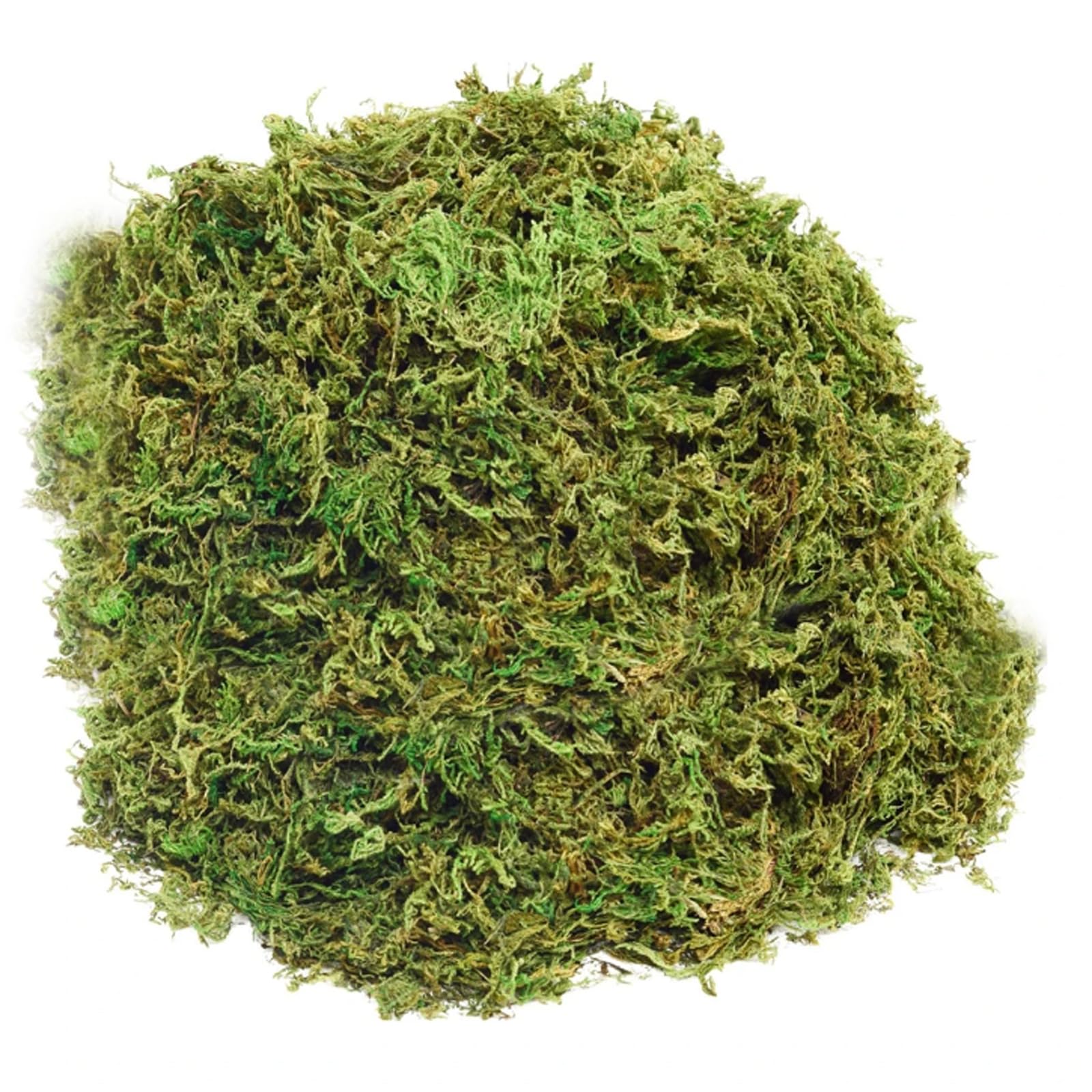 10 g de plantas artificiales de musgo falso, musgo verde fresco artificial, fibra de for centros de mesa de bodas, decoración de terrarios de jardín/471