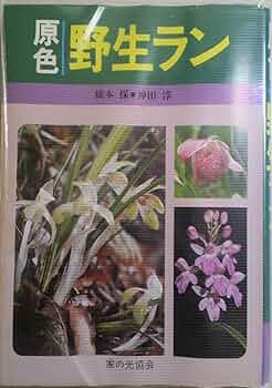 幻の本 ブラジルの野生らん 幻の本 ブラジルの野生らん 幻の本 ブラジルの野生らん Amazon.co.