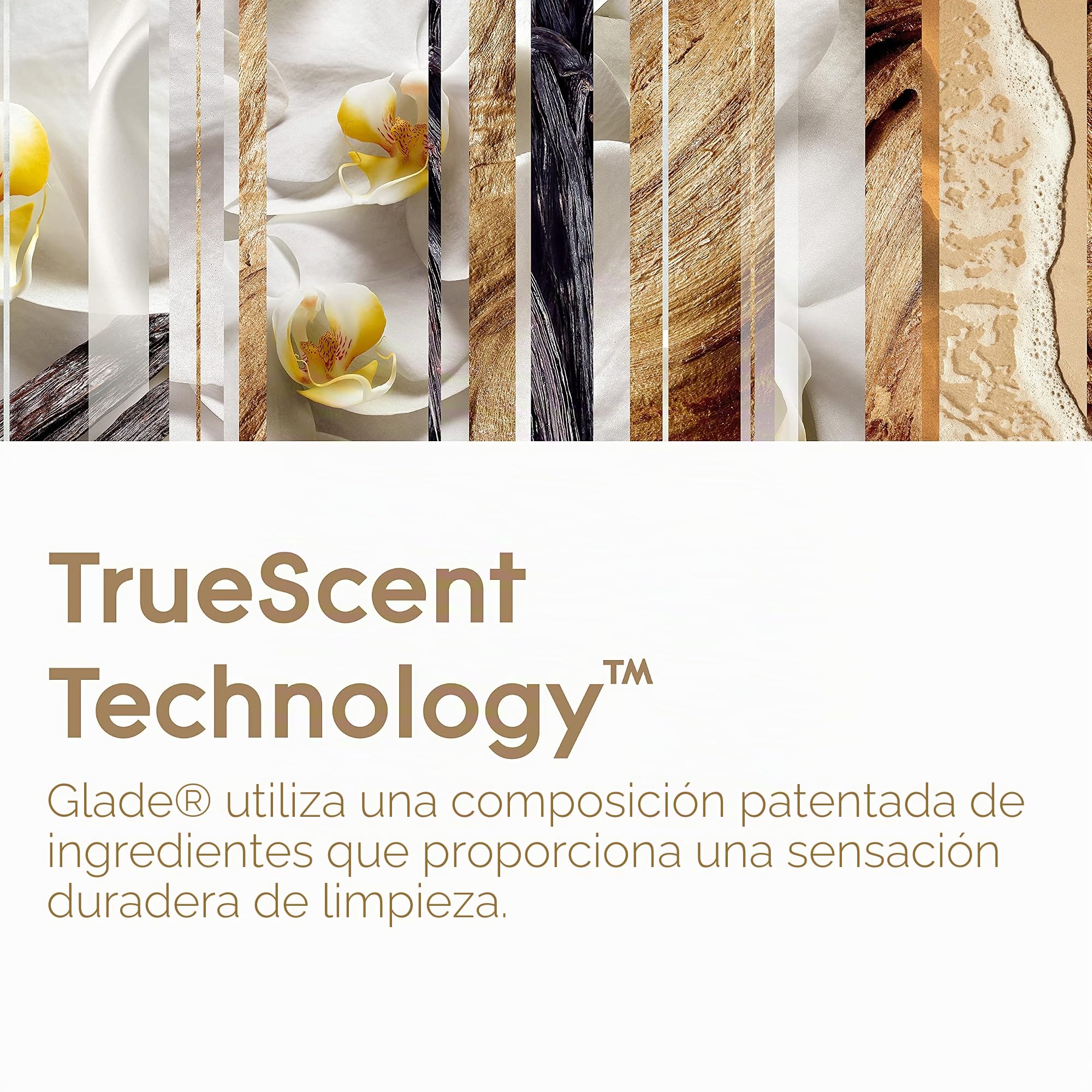 Glade Brise - Recambio de spray automático para ambientador (aroma de vainilla Blossom, 4 unidades de 269 ml)