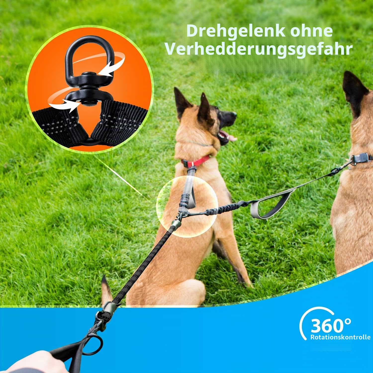Hundeleine für 2 Hunde mit Bungee Verlängerung für Große und Mittelgroße Hunde mit Ruckdämpfer | Reflektierende Elastische Hundeleine zum Spazierengehen (Schwarz)