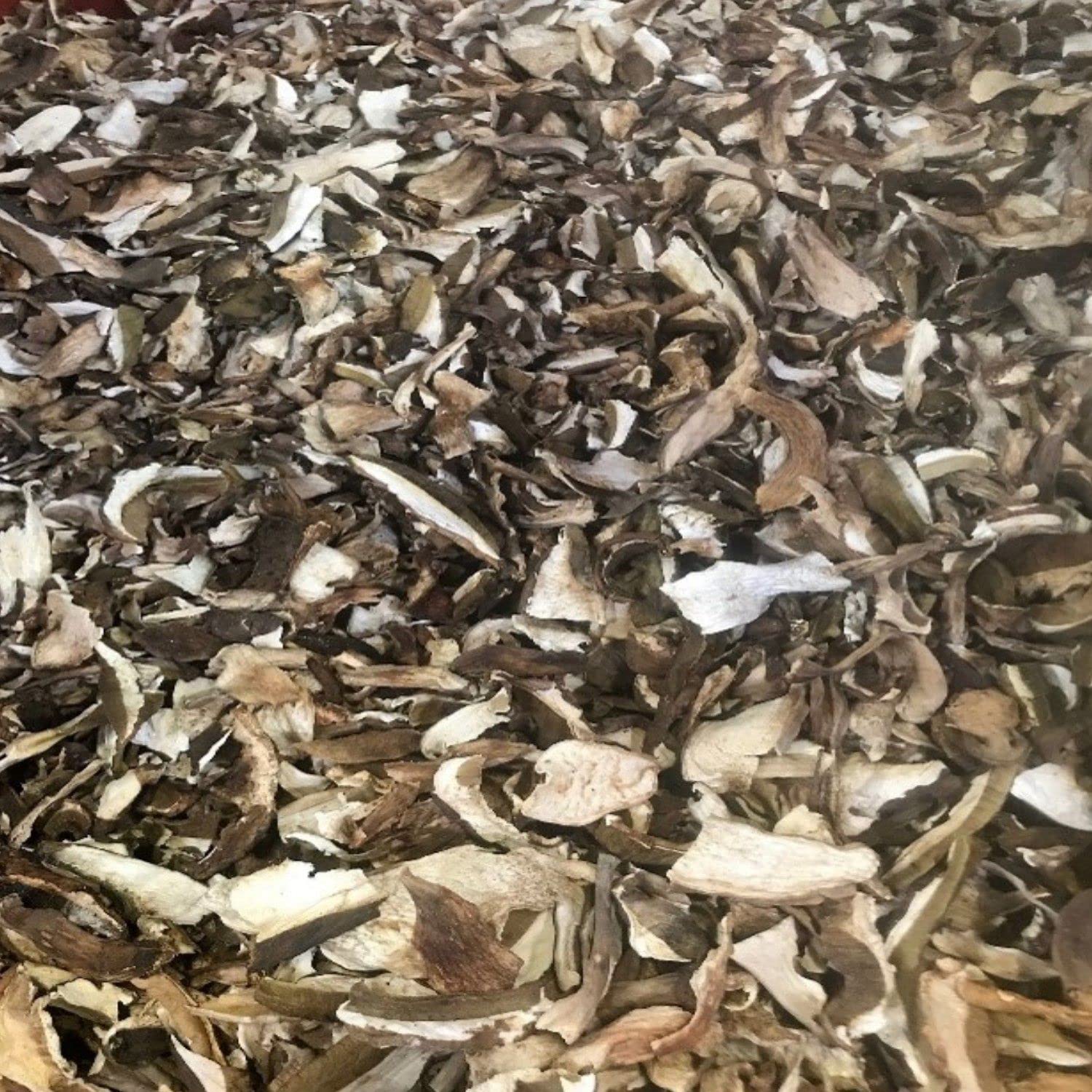 Lote de 6 cepas clase – maceta de 100 g