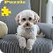 Welpen Puzzle