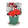 Mother's Day Card - 3D Pop-Up Flower Bouquet Design - View #11