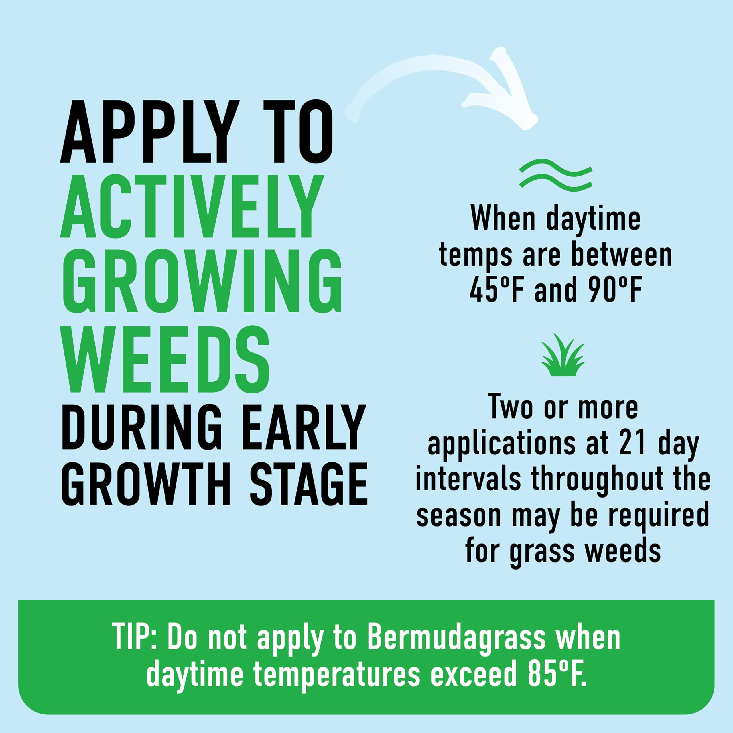 Roundup Weed Killer - Tough Weed Control -5