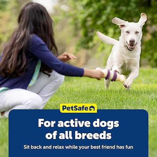 Miniatura 6 de PetSafe - Anillos de piel cruda natural, anillos de juguete para perro, recambios para juguetes de perros pequeños, medianos, grandes y variados