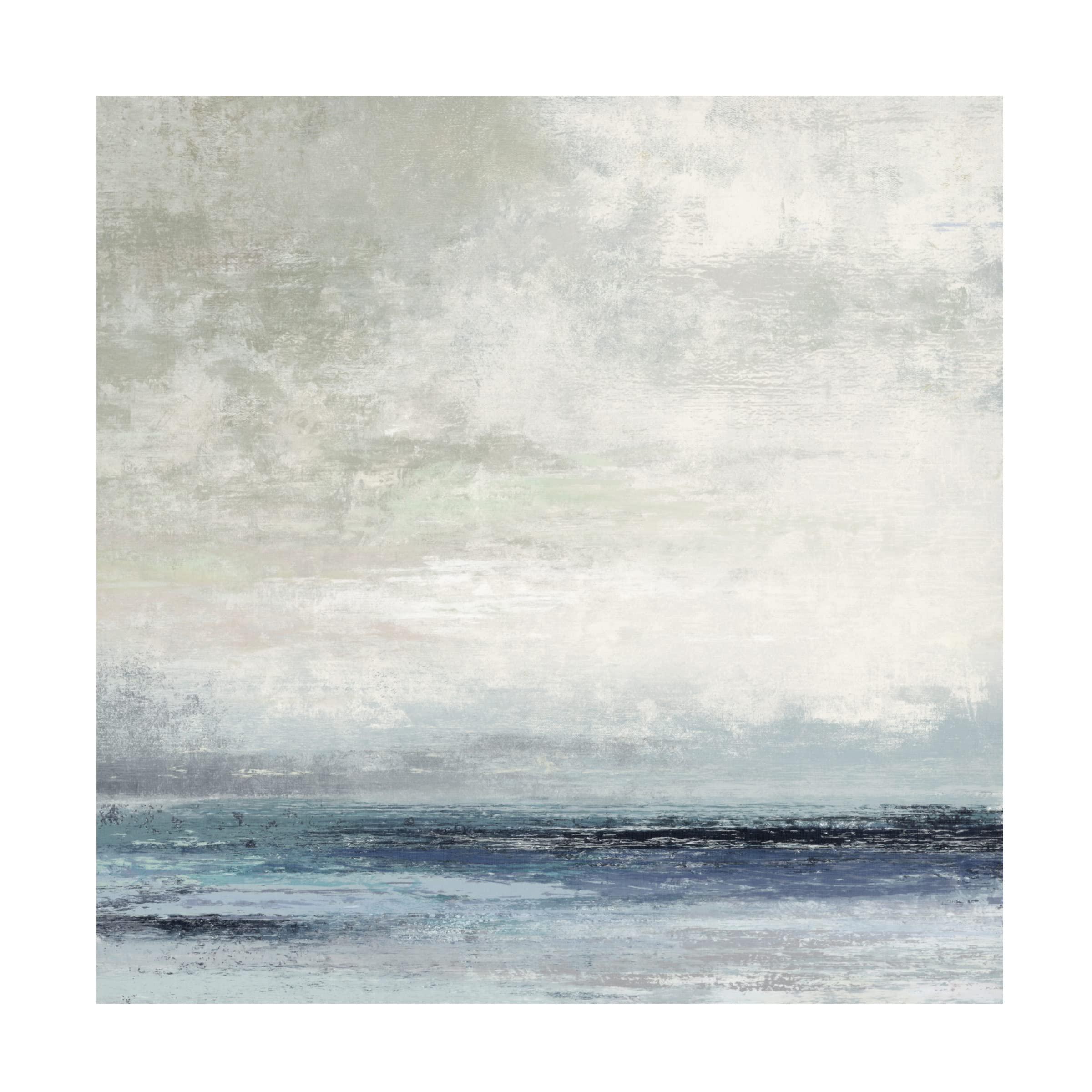 Trademark Fine Art 'Outer Banks' Canvas Art by Suzanne Nicoll