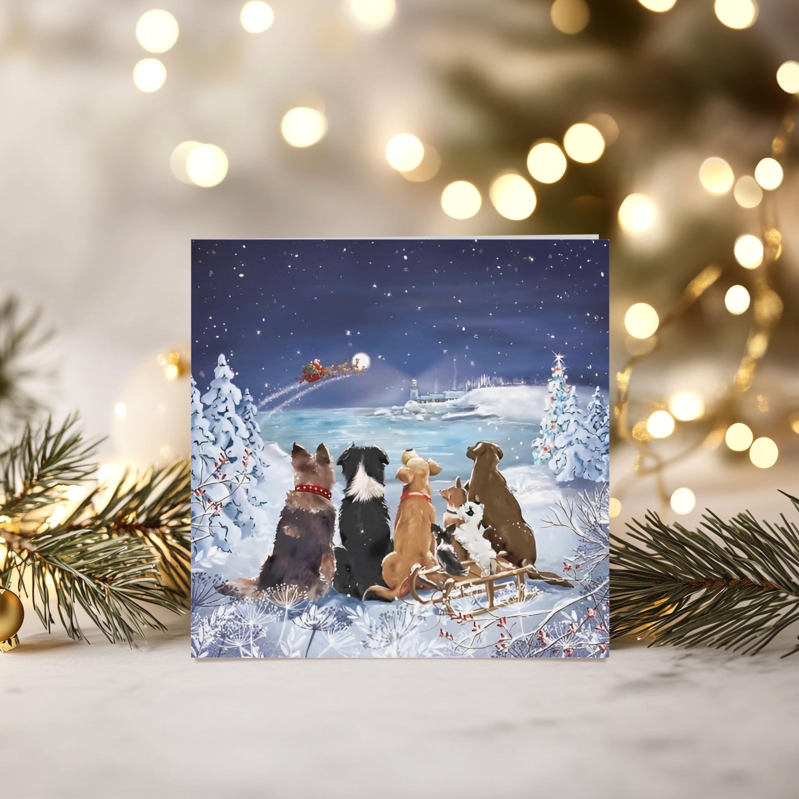 Noel Tatt Weihnachtskarten – 10 Stück, Mit Rotkehlchen & Eseln, Umweltfreundlich, 14x14 Cm
