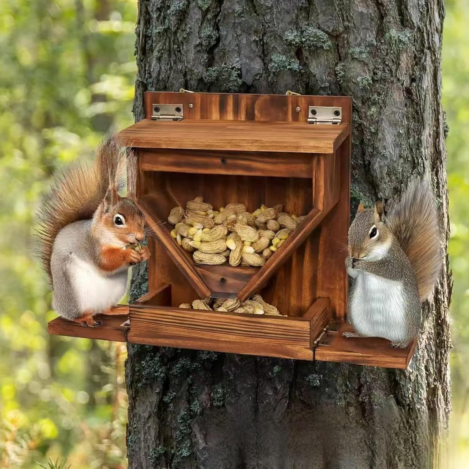 Squirrels Feeder, Wooden Chipmunk Feeder with Flexible Roof, Chipmunk Feeding Box with Transparent Window for Outside, Backyard and Garden