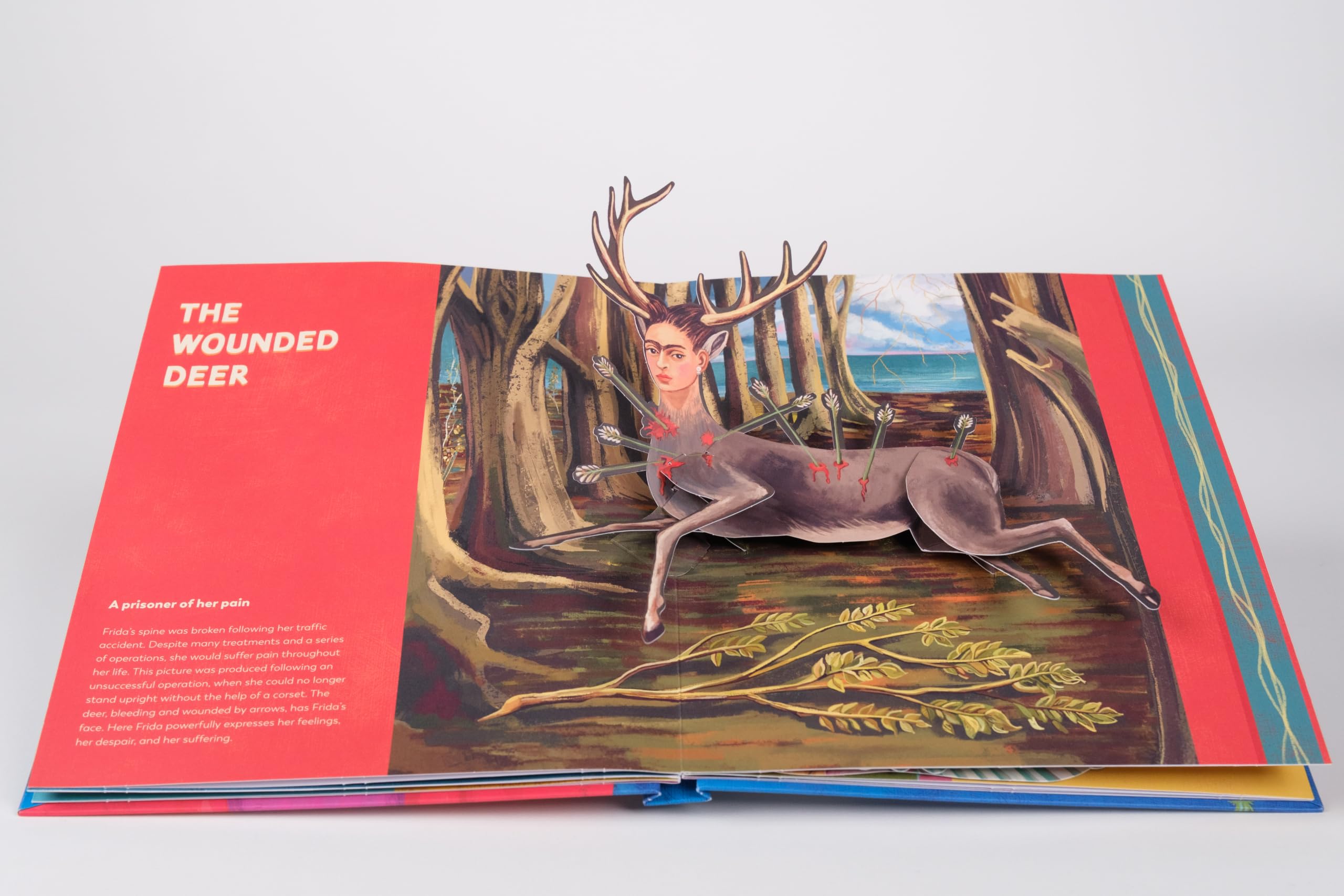 Frida Kahlo The Pop-up Book /anglais
