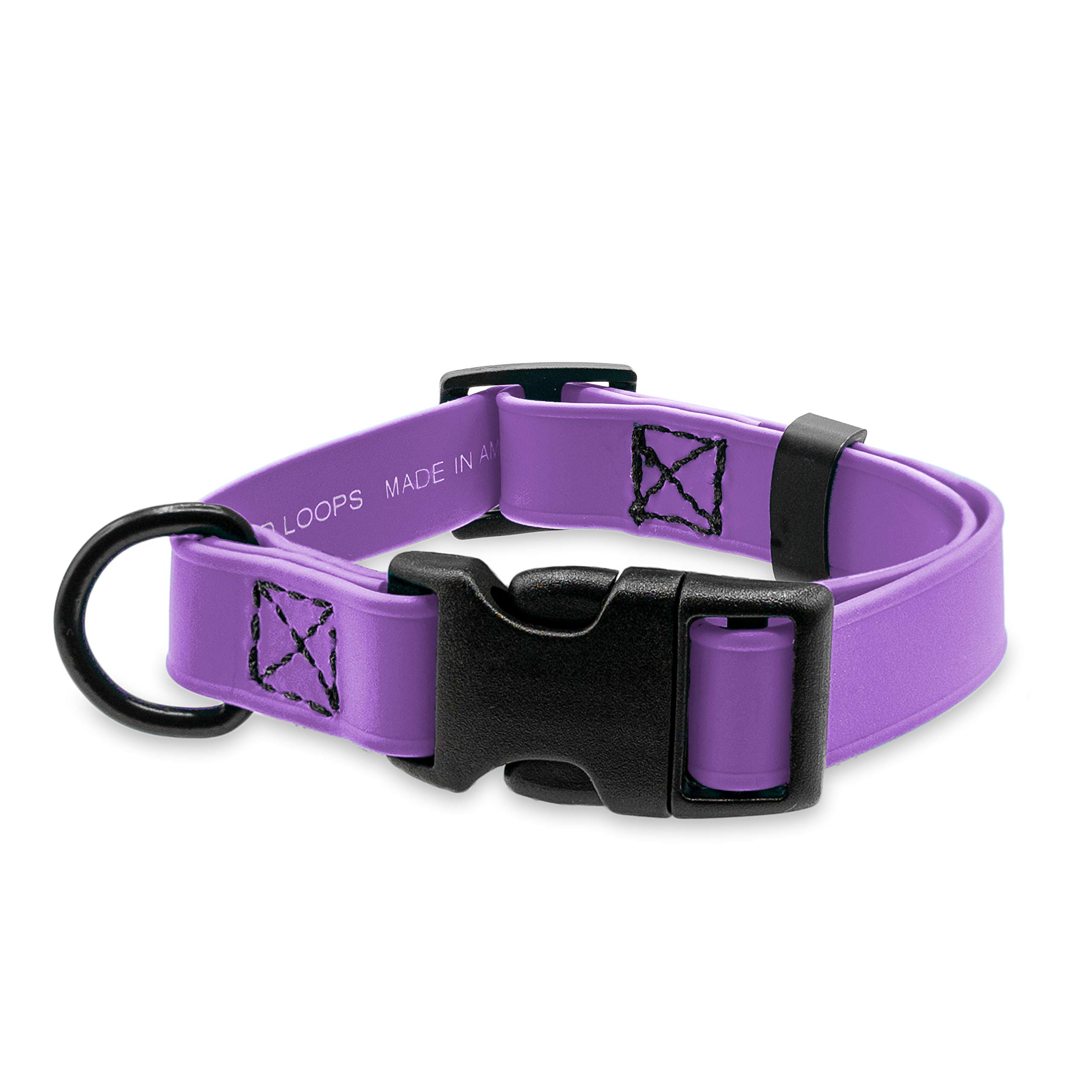 Jelly Pet Collar l Waterproof and Easy-to-Clean l Made in America l Stronger Than Leather (Medium - 1" x 13"-20", Purple)