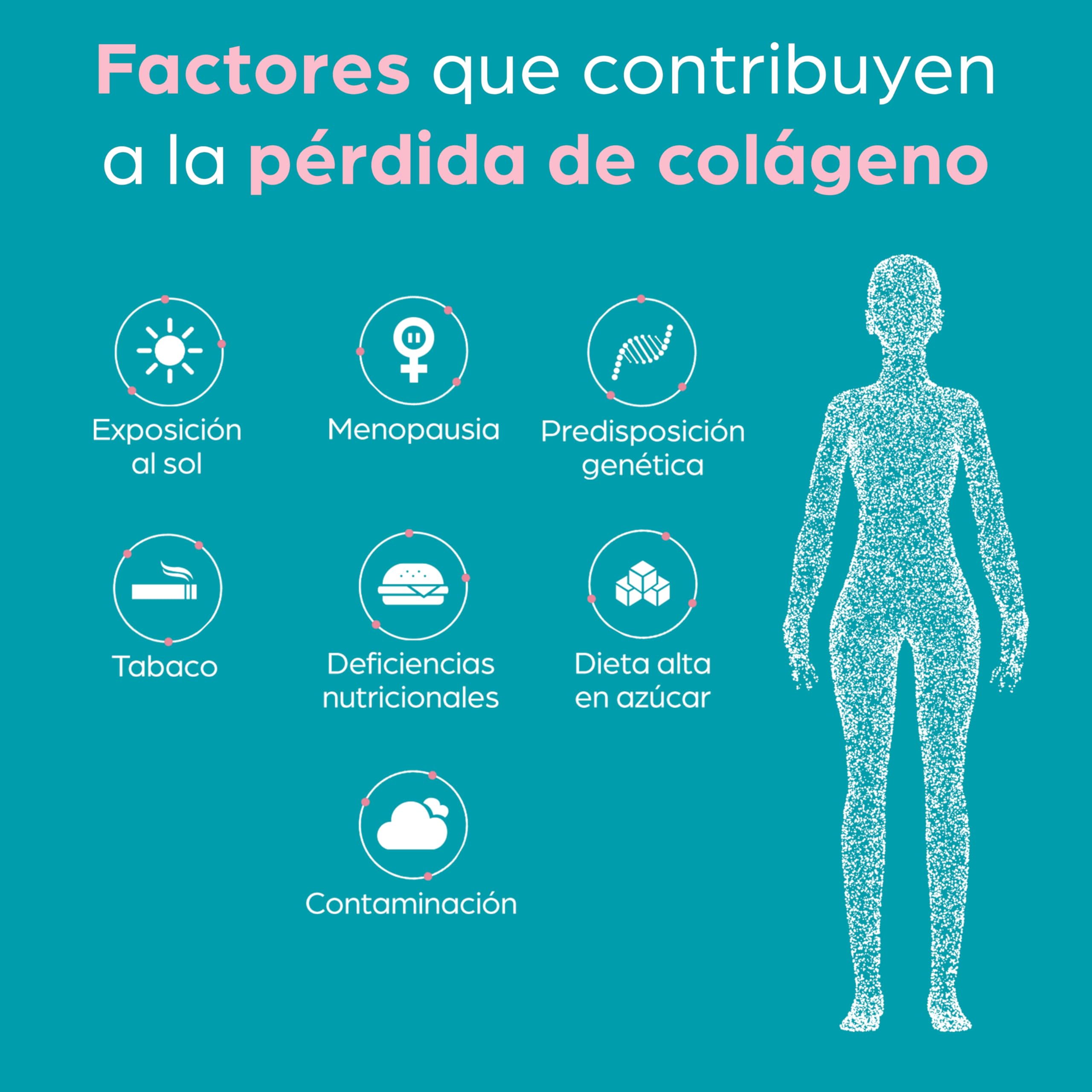 Colágeno Hidrolizado con Verisol B en cápsulas: Nu-Mii Colágeno EnPhorma. Fórmula Alta absorción. Mezcla única de Péptidos de Colágeno. Articulaciones fuertes, Piel tersa, Cabello y Uñas Sanos (3)