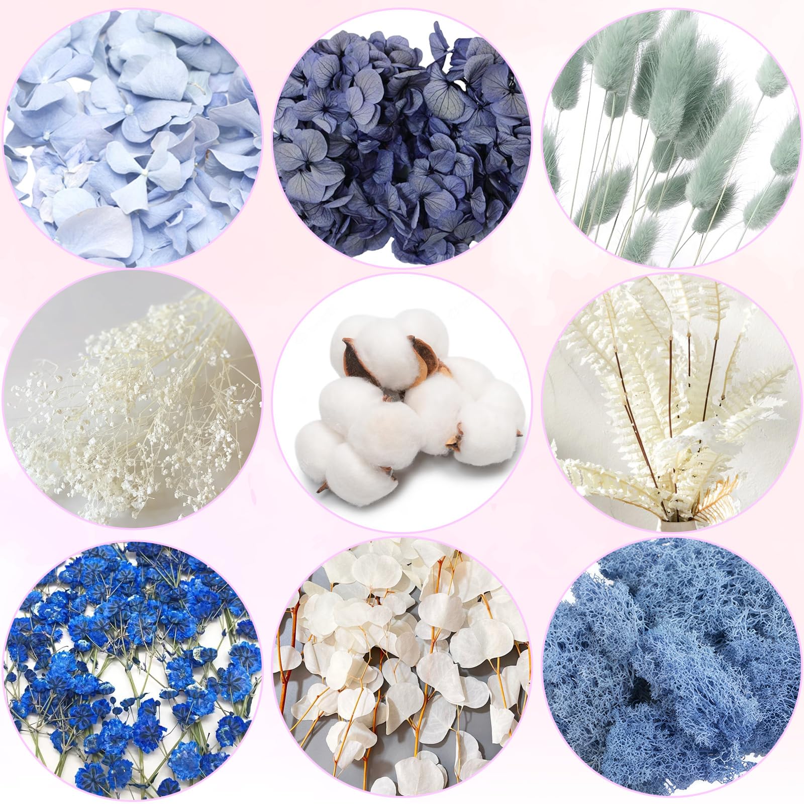 Fiori secchi naturali in rilievo Fiori conservati Resina DIY Gioielli Candela Nail art Crafts Scrapbooking Decorazione floreale