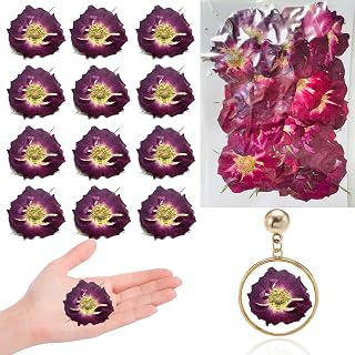 Large Size Purple Dried Pressed Flowers Rose for Resin Crafts Embellishment, Natural Real Dried Flowers for Resin DIY Jewellery Candle Making Phone Case Home Wedding Decor