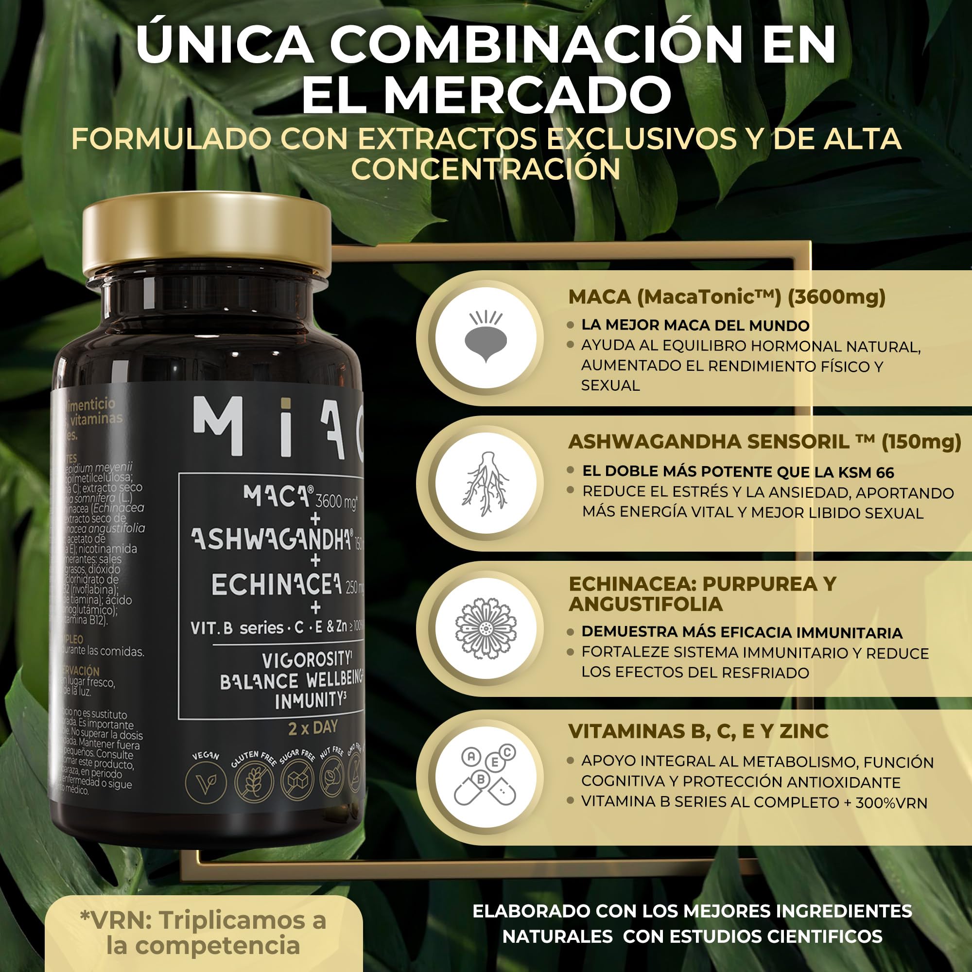 MIAC Maca + Ashwagandha Sensoril™ + Echinacea. Energía, Bienestar e Inmunidad con Vitaminas y Adaptógenos. 60 Cápsulas Veganas, Sin Gluten ni OGM