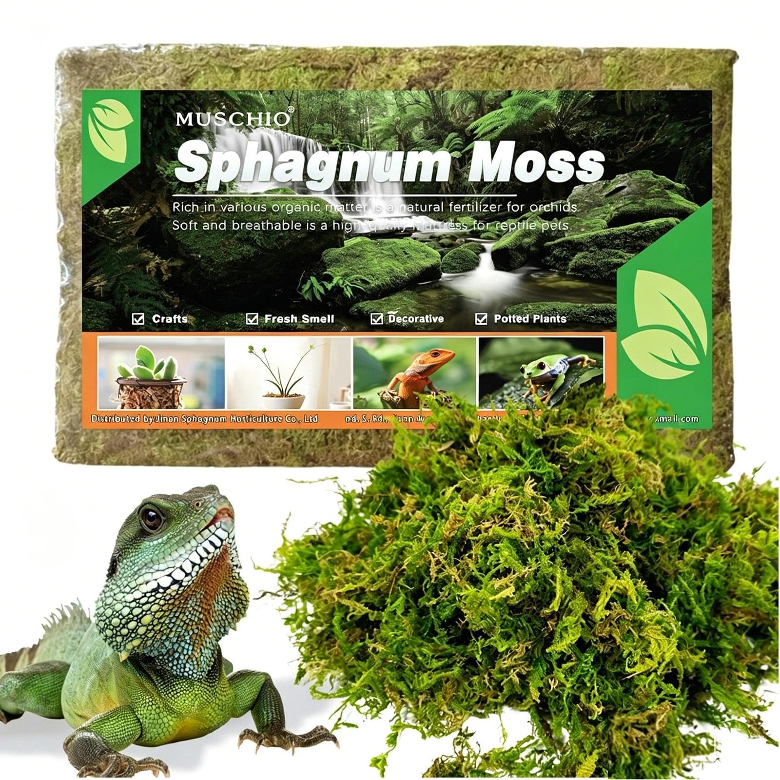 150g Long-Fiber Dried Forest Moss, Premium Substrate, for Reptiles, Orchids, Carnivorous Plants, Succulents, Snakes