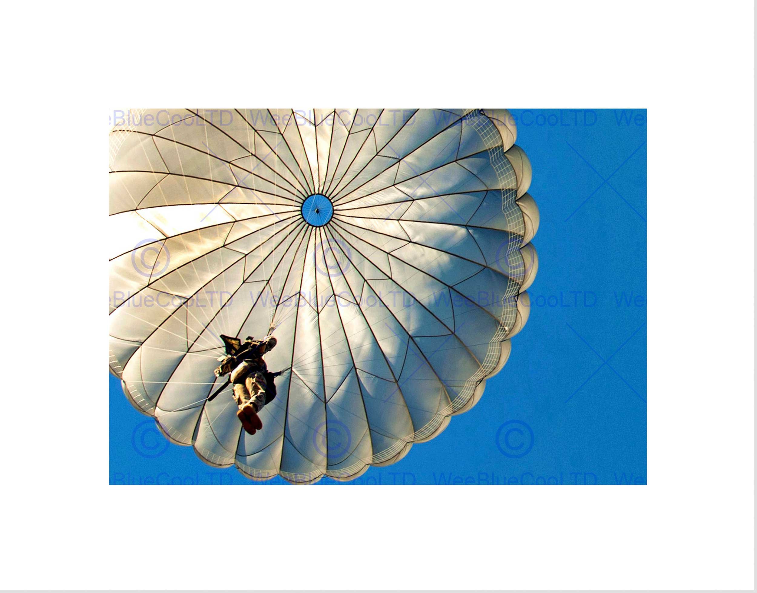 Wee Blue Coo War Soldier Paratrooper Parachute Falling Wall Art Print