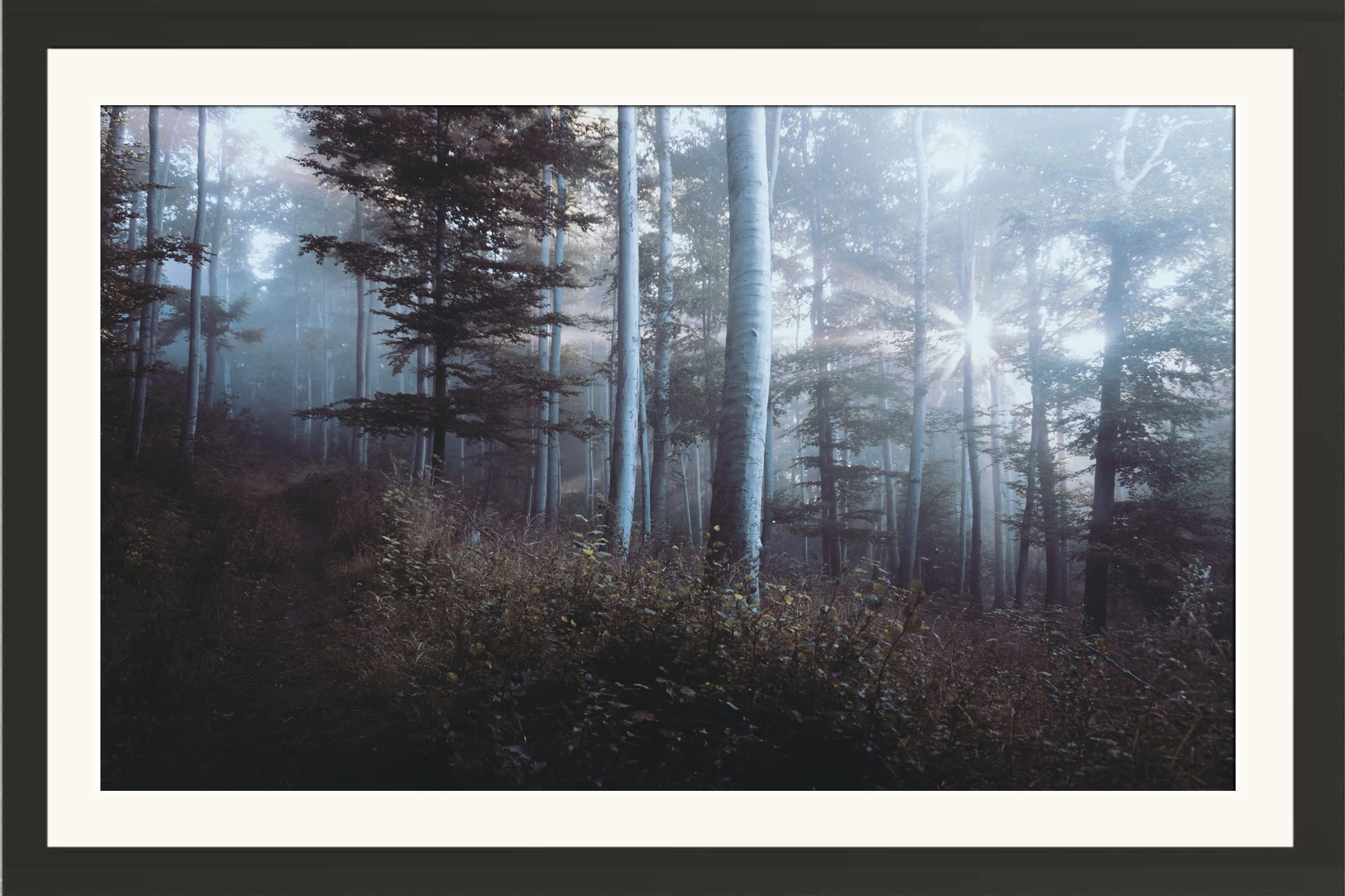 STUDIO AVINASH Beautiful and Peaceful Natural Nature Wall Hanging Framed Photo Without Glass For Home Decor, Office, Living Drawing and Bed Rooms (13 X 18 Inch)