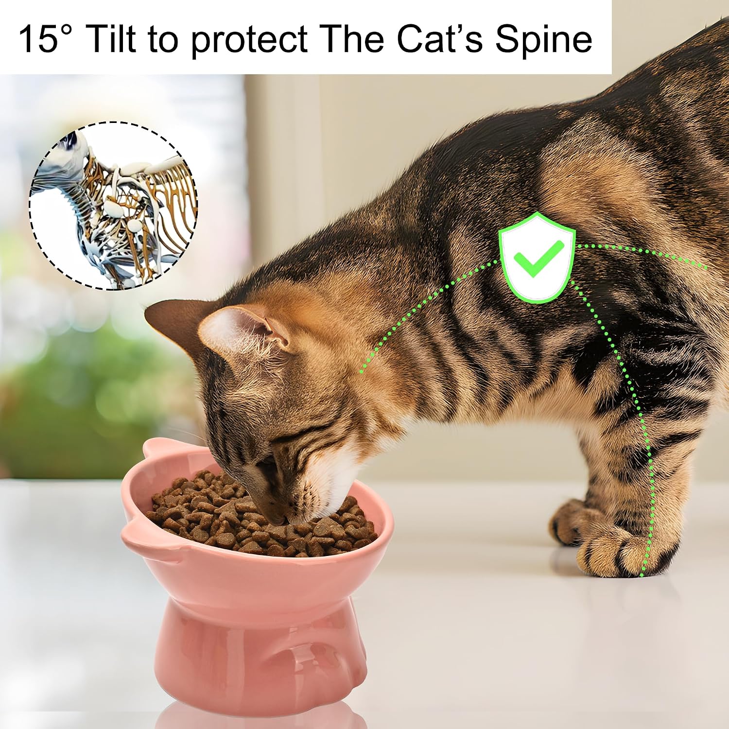 Elevated Cat Food Bowl,9 Oz Ceramic Raised and Tilted Water Bowl,Anti Vomiting and Protect Pets Spines Dishes for Fat Faced Cat, Indoor Cats,Kitten,Small Dog (White)