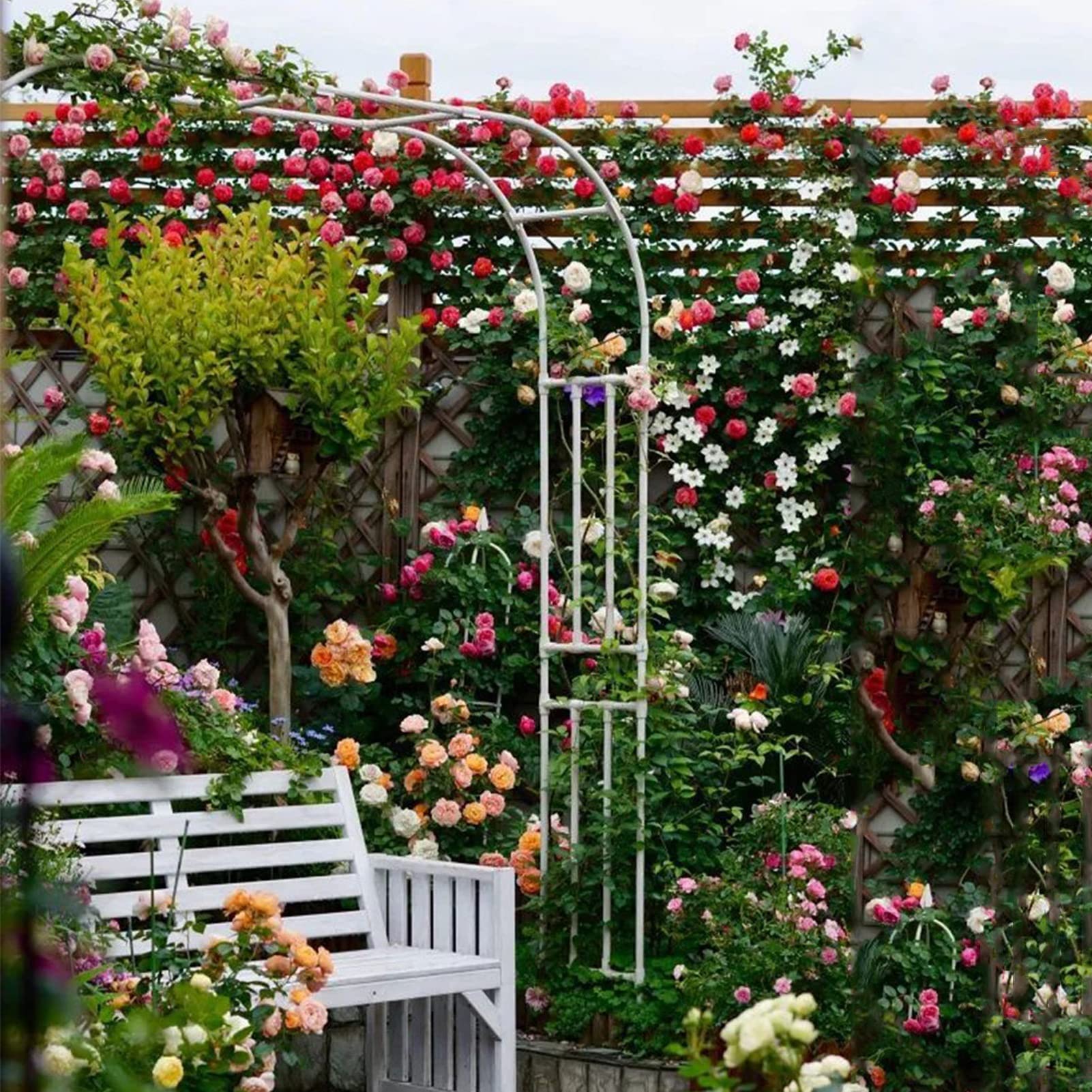 Arco de jardín de metal de medio lado, arco de rosas semicircular, arcos de jardín para plantas trepadoras, color negro/blanco, resistente a la intemperie, pérgola para césped, patio trasero, patio