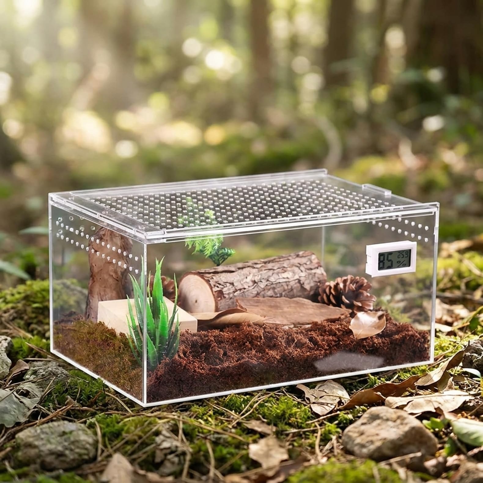 Amazon | カブトムシ・クワガタ・ヘラクレスオオカブト成虫用飼育
