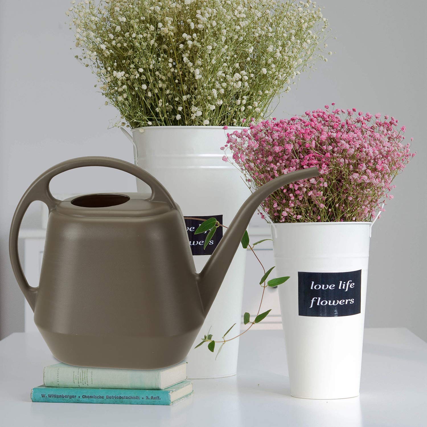 Fasmov Gießkanne aus Kunststoff, 4 l, leicht, Wassersprüher, Gießflasche für Haus, Blumen, Bonsai, Pflanze, Garten, Outdoor