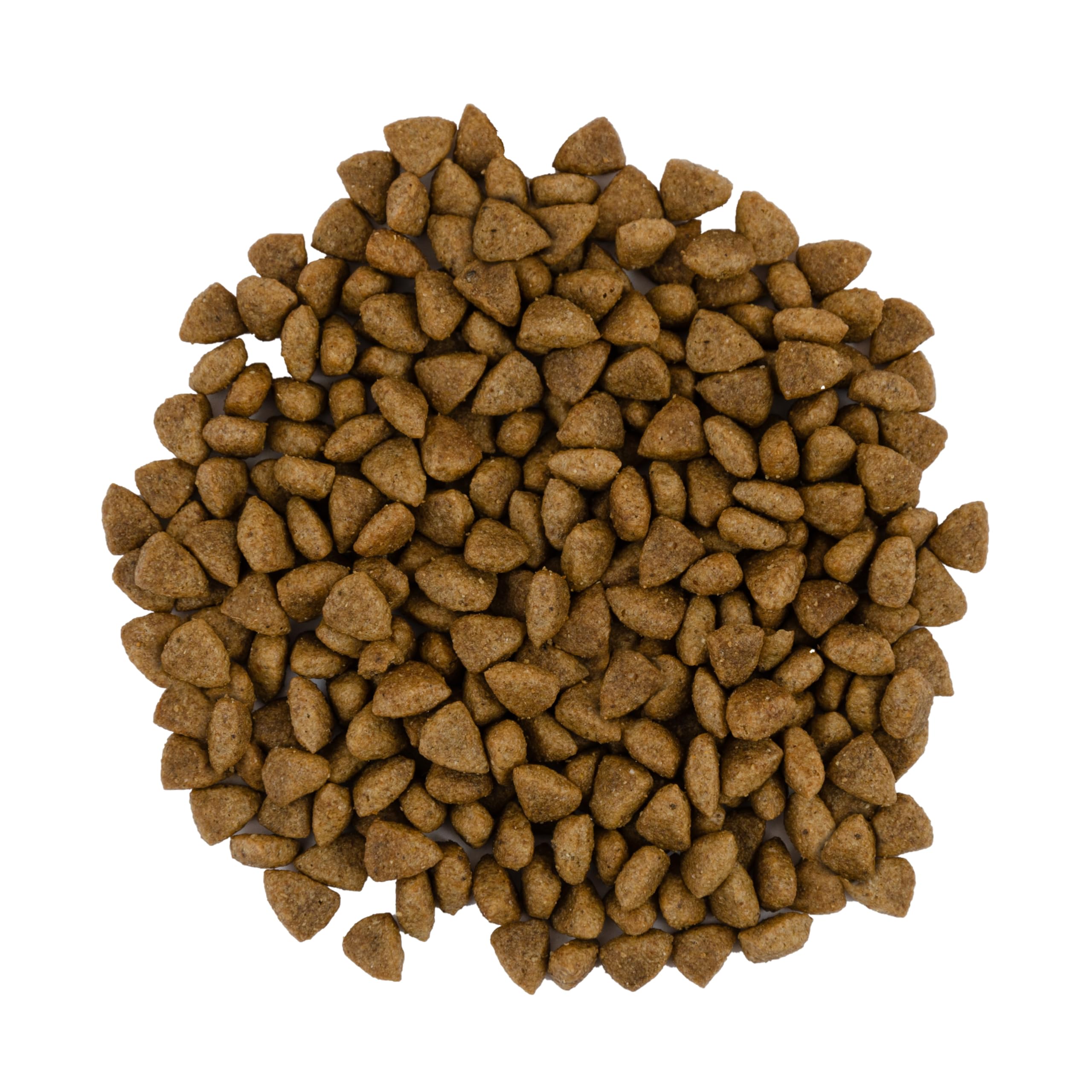 Savory - Katzenfutter Trocken - Trockenfutter für Katzen - für Erwachsene Katze empfindlich - Frisches Lamm & Pute - auf Basis von getrocknetem frischem Fleisch, mit VIT. A, D3, E - 2Pack (2x2 kg)