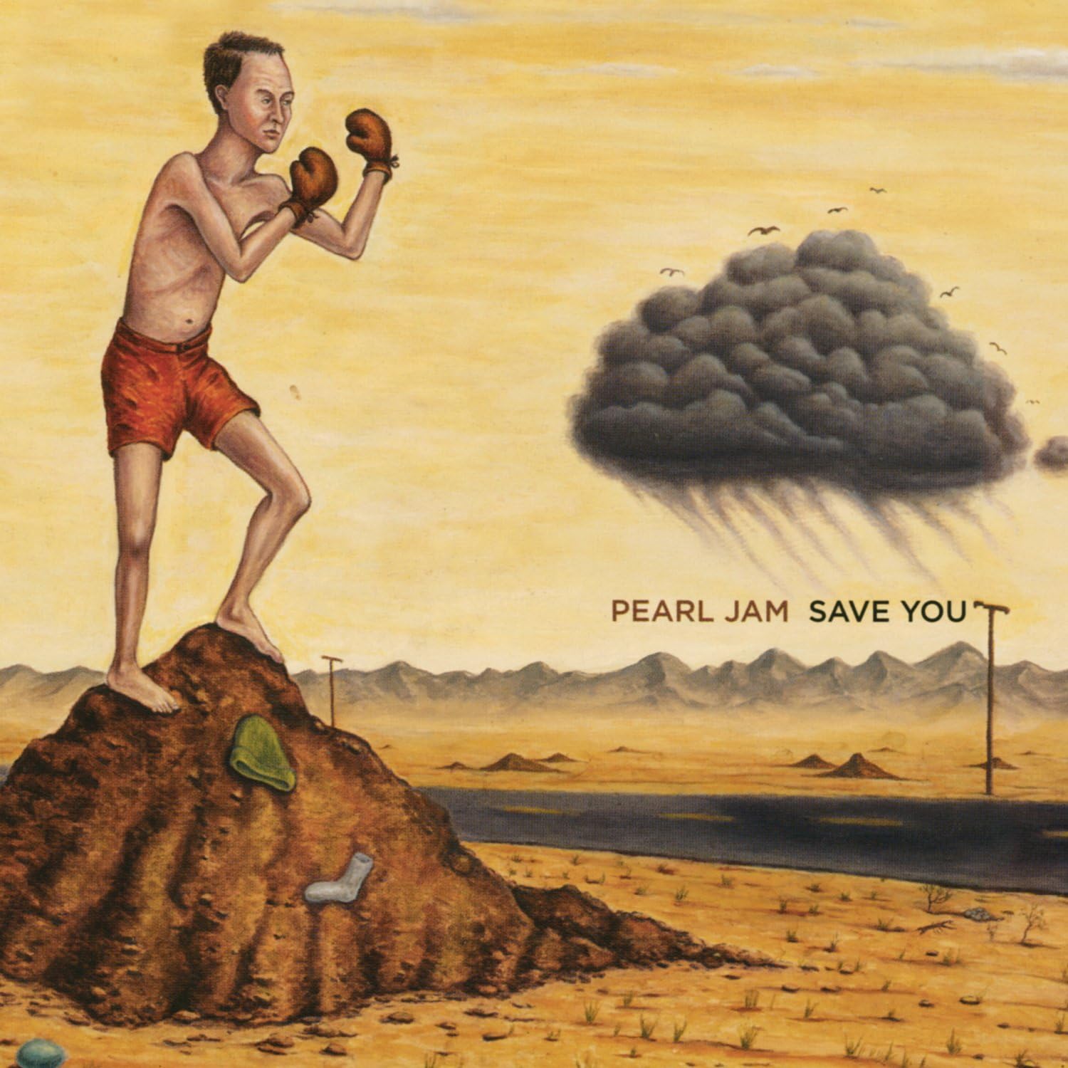 Save You / Other Side [Disco de Vinil] por Pearl Jam — capa do álbum