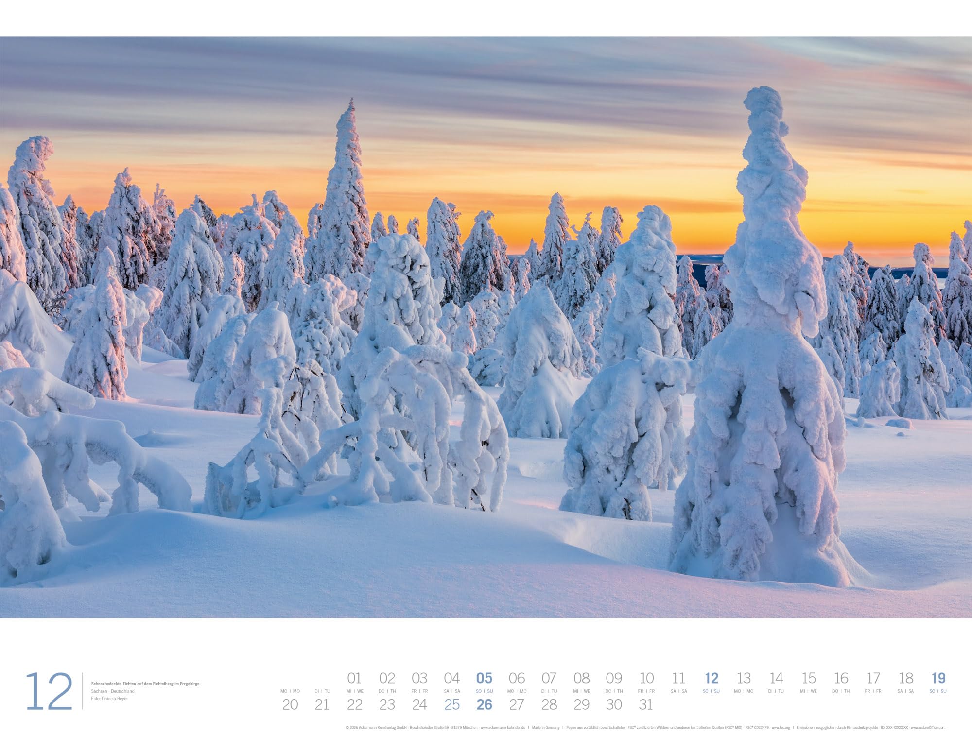 Wald Gallery Kalender 2027: Geschmackvoller Natur-Kalender im großen Querformat (66x50 cm) | Wälder und Bäume im Großformat