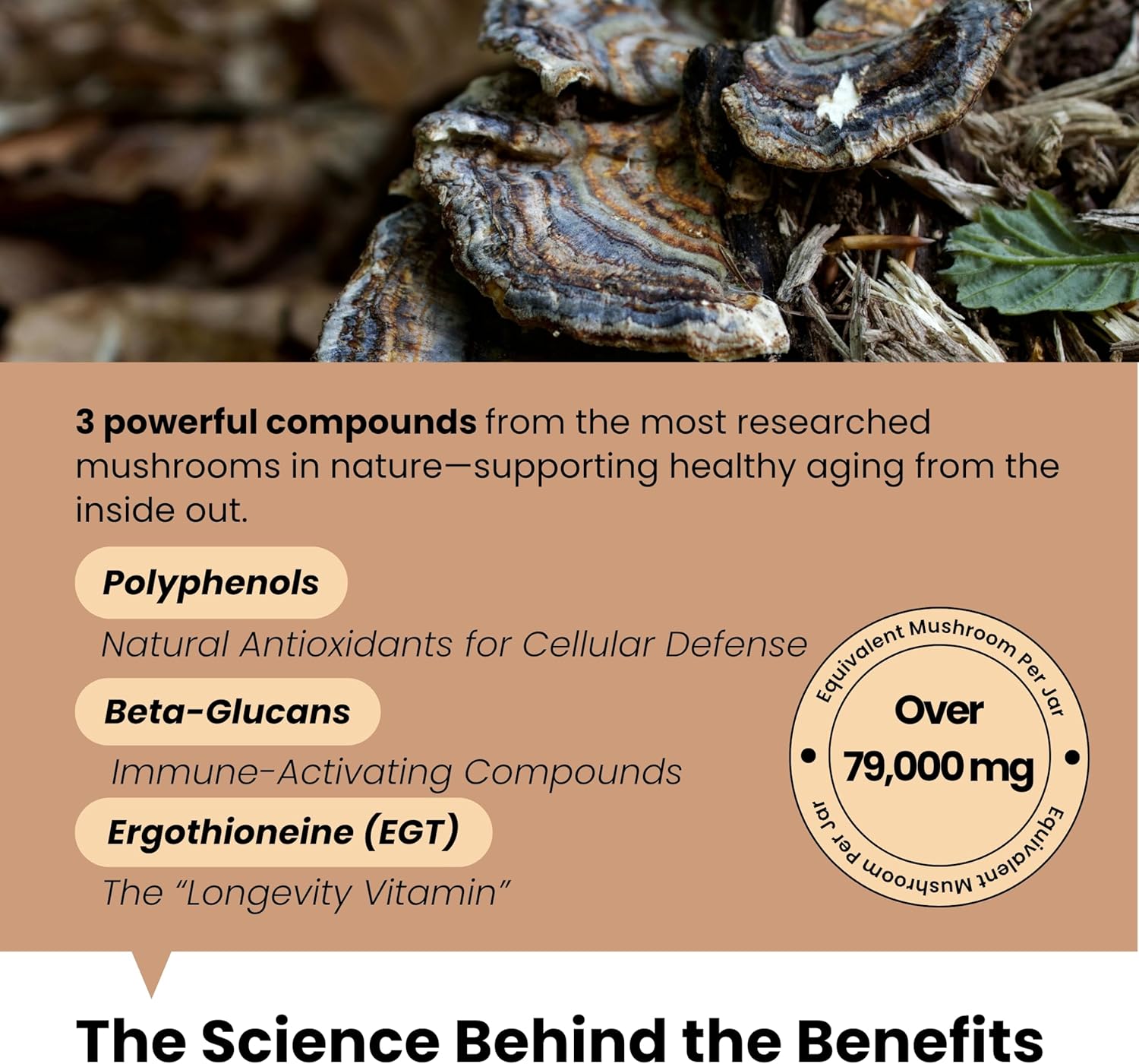 Pawpulse Formula Turkey Tail Mushroom for Dogs - 7-in-1 Immune Support & Healthy Cell Growth with Lion's Mane, Lumps, Bumps & Lipoma,Brain, Gut Health & Vitality for Senior Dogs, 80 Chews