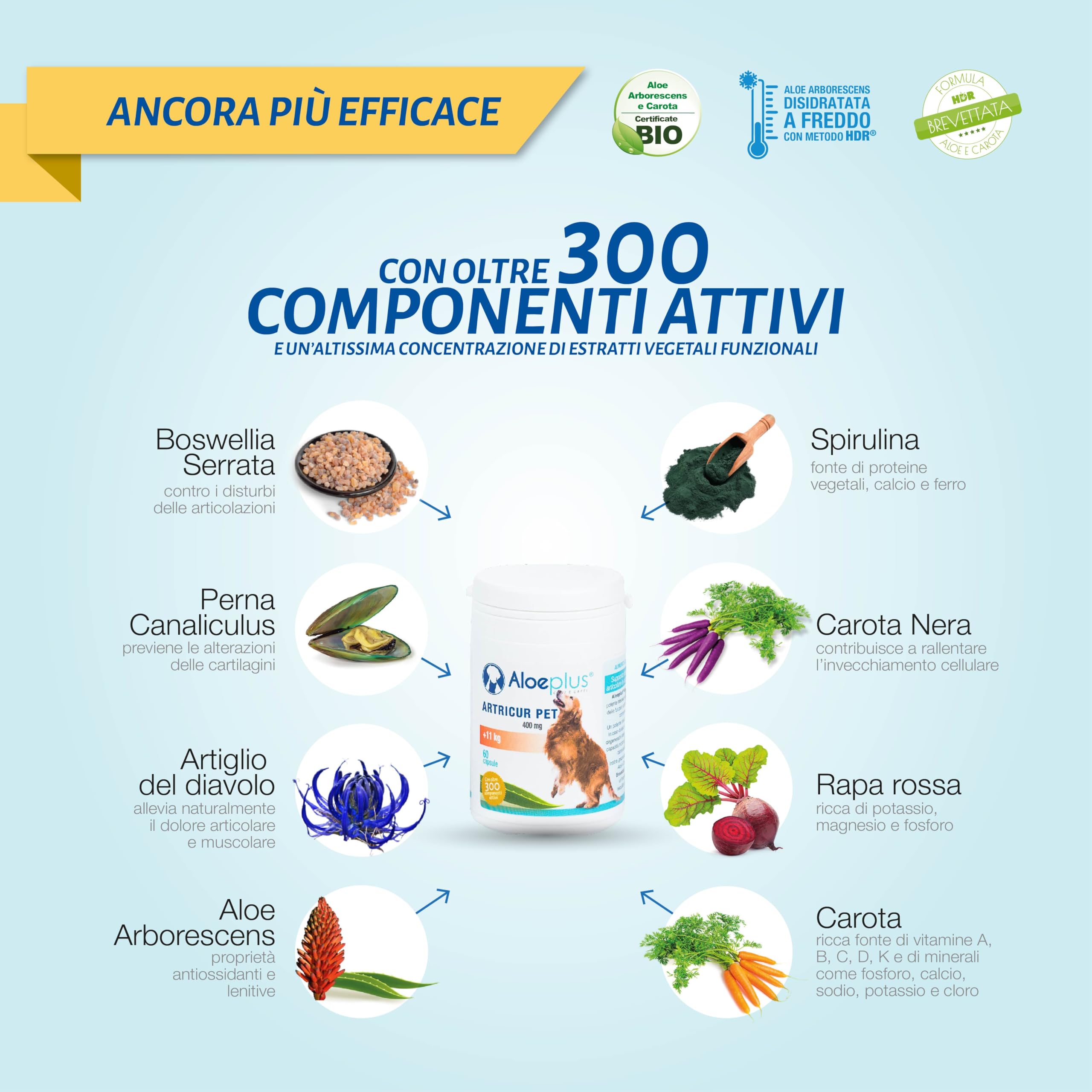ALOEPLUS Artricur Pet Integratore Articolazioni Cane 11+ Kg - 100% Naturale con Aloe Arborescens BIO, Spirulina, Boswellia e Artiglio del Diavolo, Rinforza e Protegge le Articolazioni, 60 Capsule