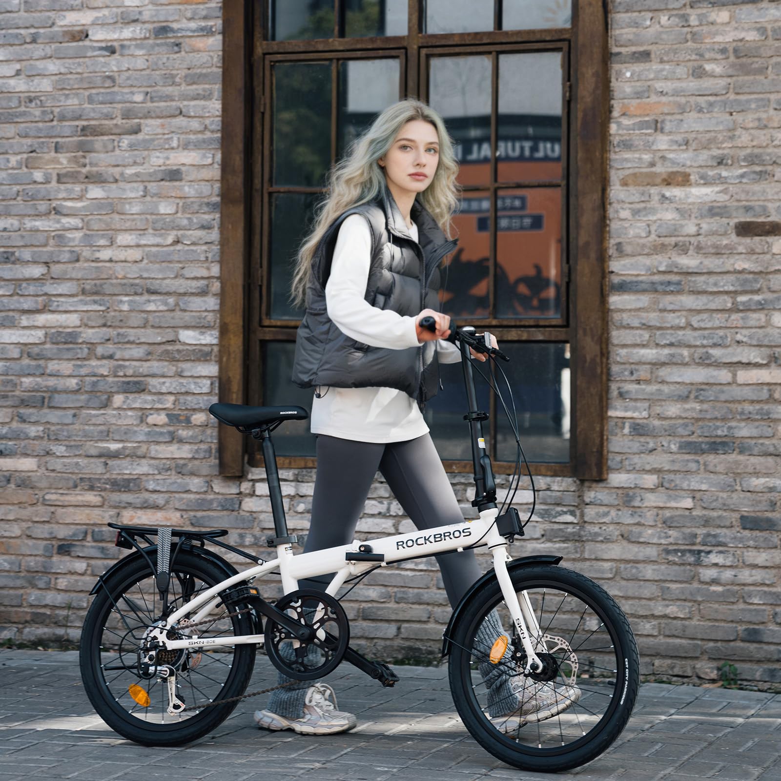 ROCKBROS SKN Vélo Pliant 20 Pouces, Tourney 7 Vitesses, Frein à Disque Mécanique, Cadre Hi-Ten Acier Léger 15,6kg, Vélo de Ville avec Garde-Boue et Porte-Bagage, pour Vélotaf 140–185 cm
