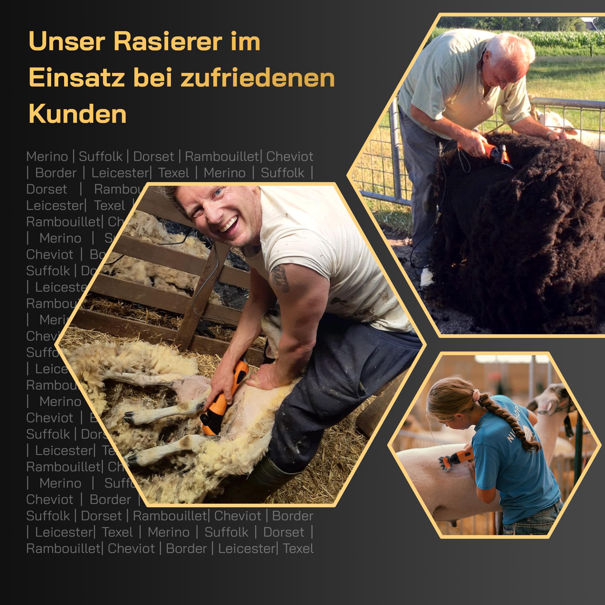 Elektrische Schafschermaschine - Geeignet für alle Schafrassen und Fellarten - Mit austauschbaren Klingen - Leistungsstarker Motor - Vibrationsarm und geräuscharm - Wartungsfrei