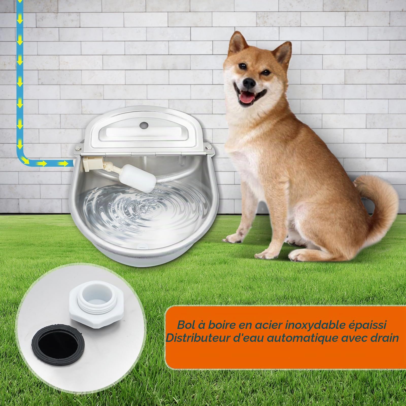 9 in 1 Gamelle d'eau Automatique avec Valve Flottante, Distributeur d'eau pour Chien, Abreuvoir avec Tuyau pour Bétail, Poules, Chevaux, Bovins, Porcs, Chèvres, Vaches