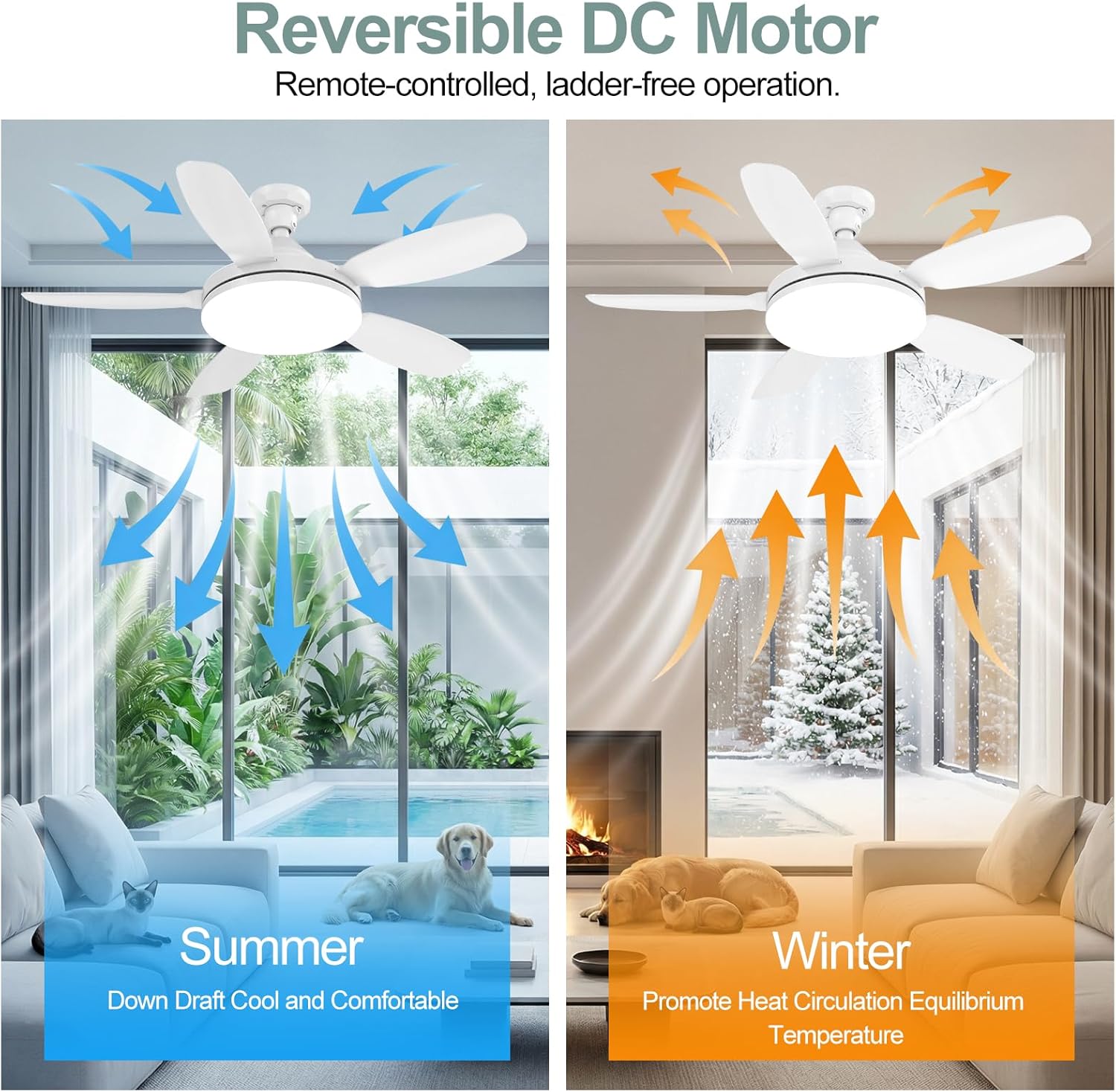 32" Socket Fan Light, 3000 Lumens Small Ceiling Fans with Lights and Remote, E26/E27 Light Bulb Fan with Reversible Motor, Dimmable 3000K-6500K Light Socket Fan for Bedroom Kitchen Garage