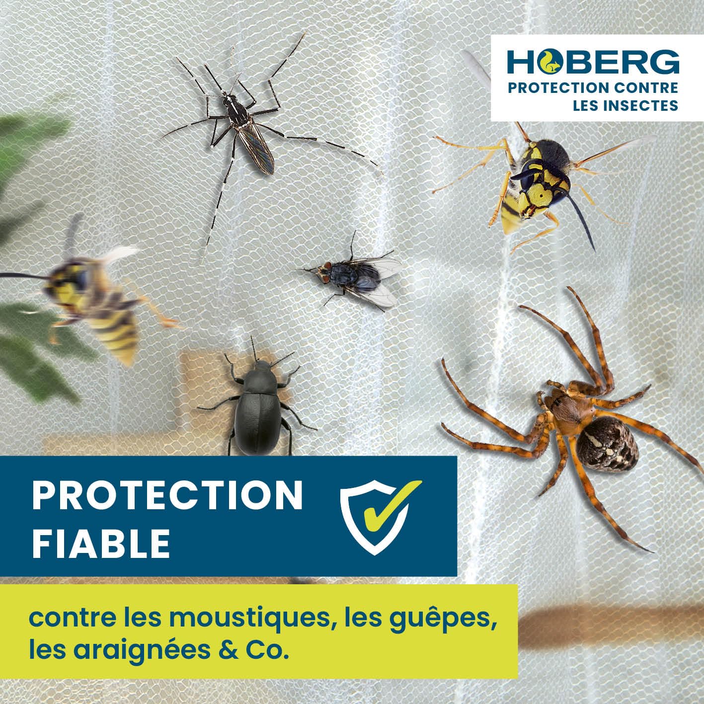 HOBERG Moustiquaire de Voyage | Moustiquaire XXL pour lit bébé, lit Simple et lit Double | Tente moustiquaire d'extérieur 400 Mesh pour Balcon | Auvent Anti-Insectes à Coller ou à Visser - 60 cm Ø