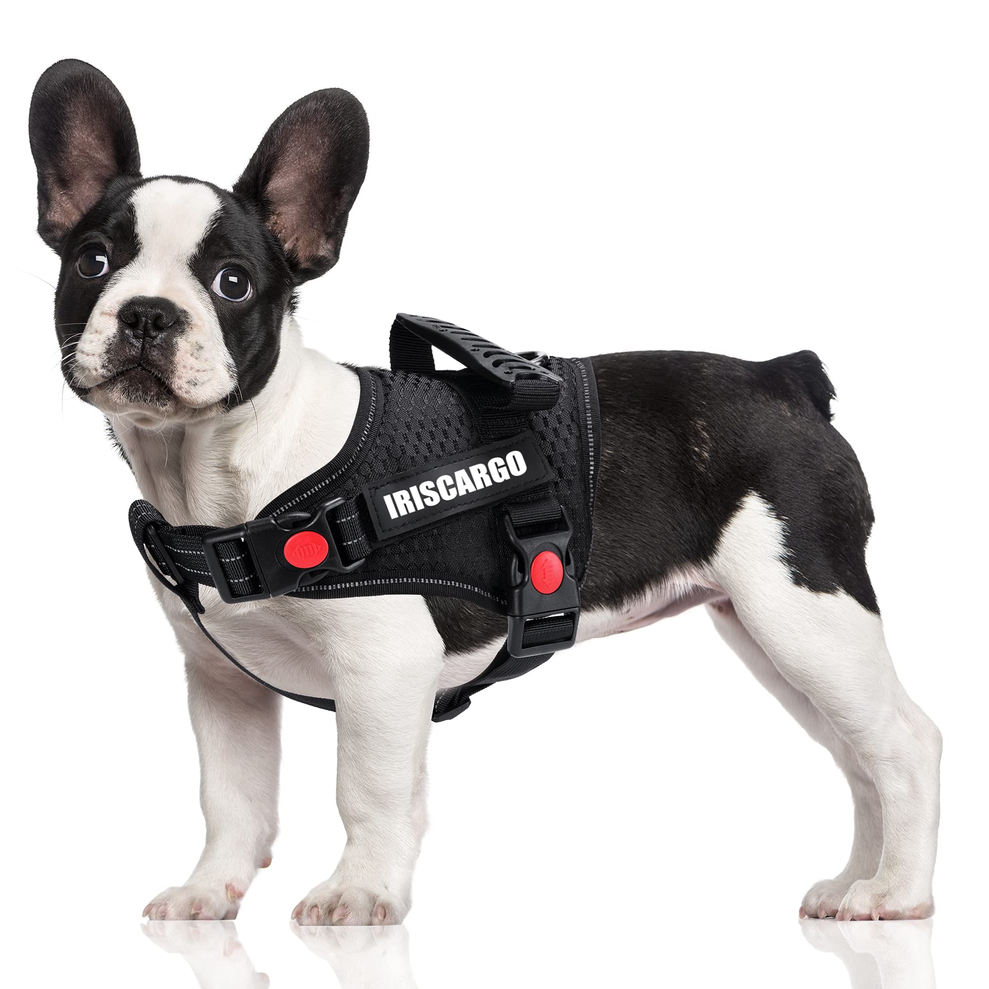 julius k9 harness front clip Black Friday Best Deals - Main Image