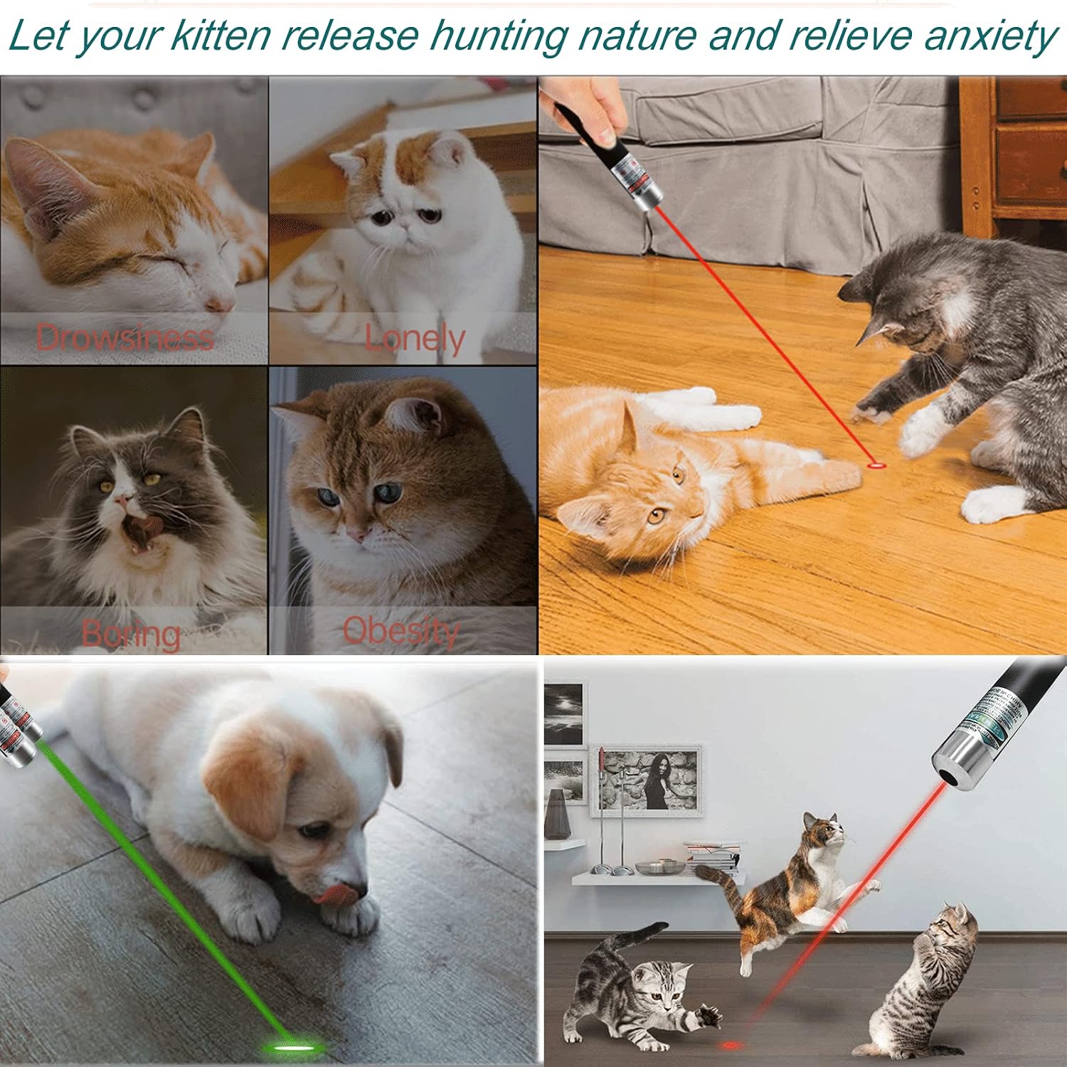 Cat Laser Pointer for Cats, 3 Pack Cat Laser Toy Red Green Laser Pointer Cat Toys for Indoor Cat Laser Light Pointer Chaser Tease Toy Cat Laser Pointer for Cats Dogs Laser Pointer for Presentations