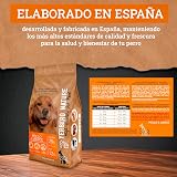 Ver la foto 3
