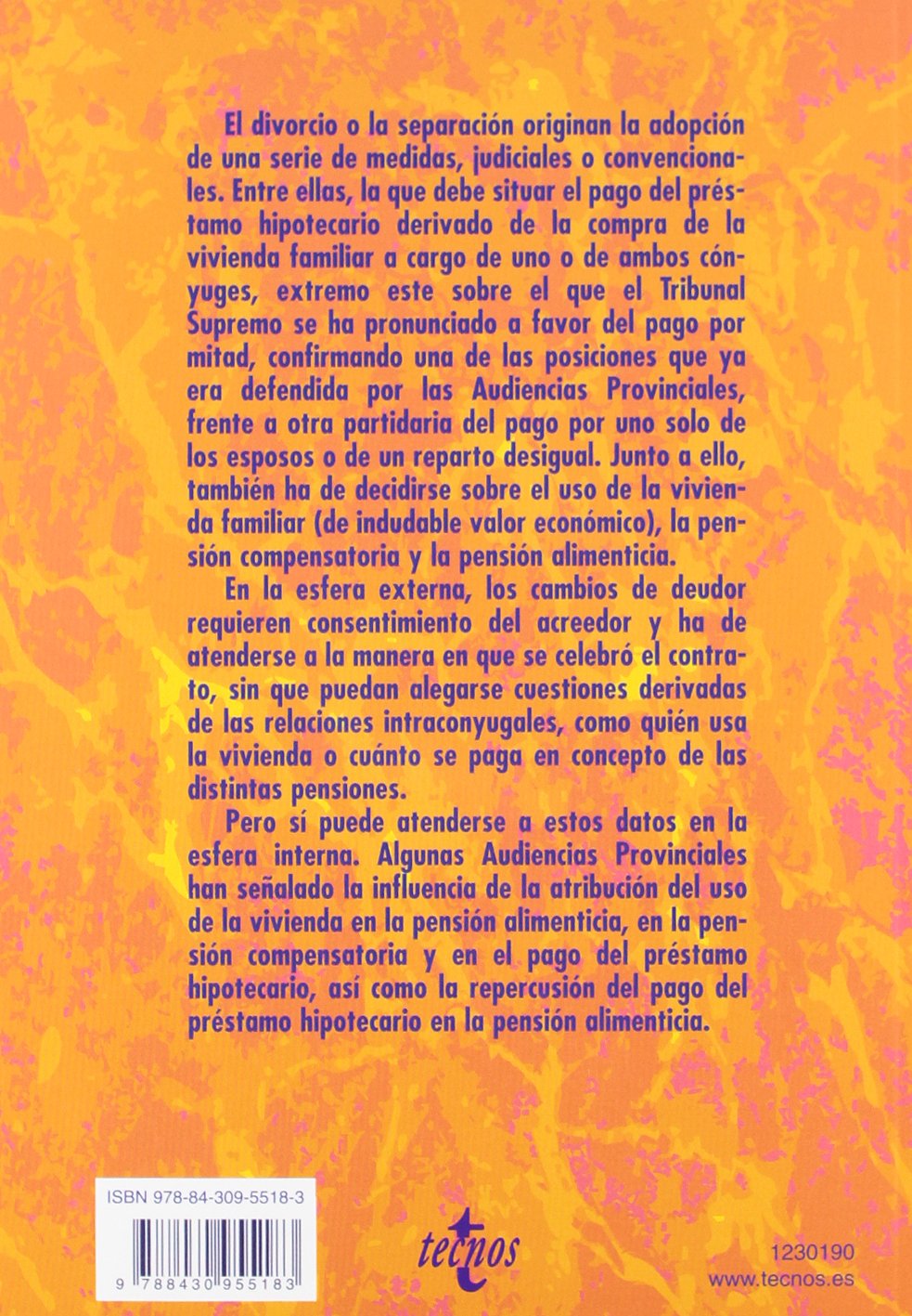 Las obligaciones de los cónyuges tras el divorcio o la separación / The obligations of spouses after divorce or separation: Hipoteca sobre la vivienda familiar, pensión alimenticia y pensión compensatoria / Mortgage on the Family Home, Child Support and A