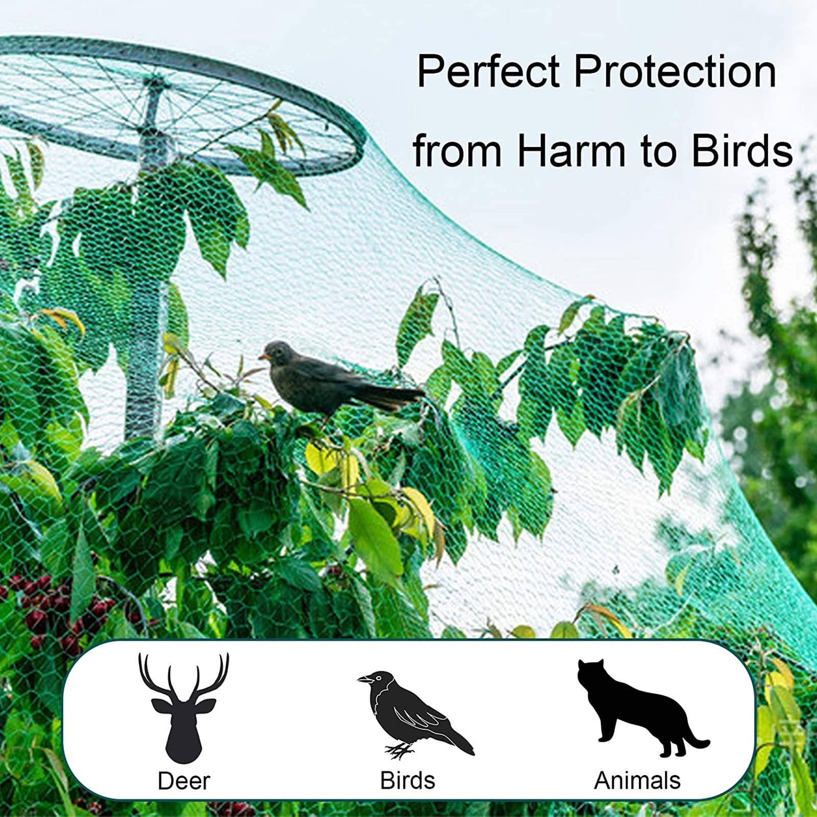 Red De Jardín Para Pájaros Para Árboles Frutales/Plantas/Protector De Verduras, Protector Solar Uv, Barrera De Enrejado De Plástico Para Plantas Trepadoras, Decoración De P,Wxl-1.5x50m(5x164ft)