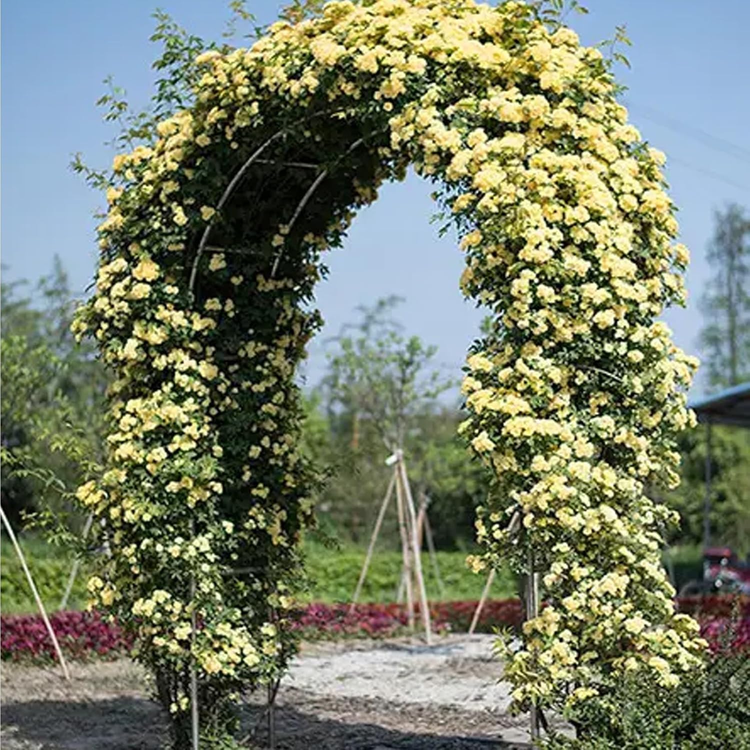 Iron Garden Arch, Garden Arch for Floral Vines, Wedding Pergola Arbor, Easy to Assemble, for Various Climbing Plants, Bridal Party Decor(Green,55x15.7x90in)