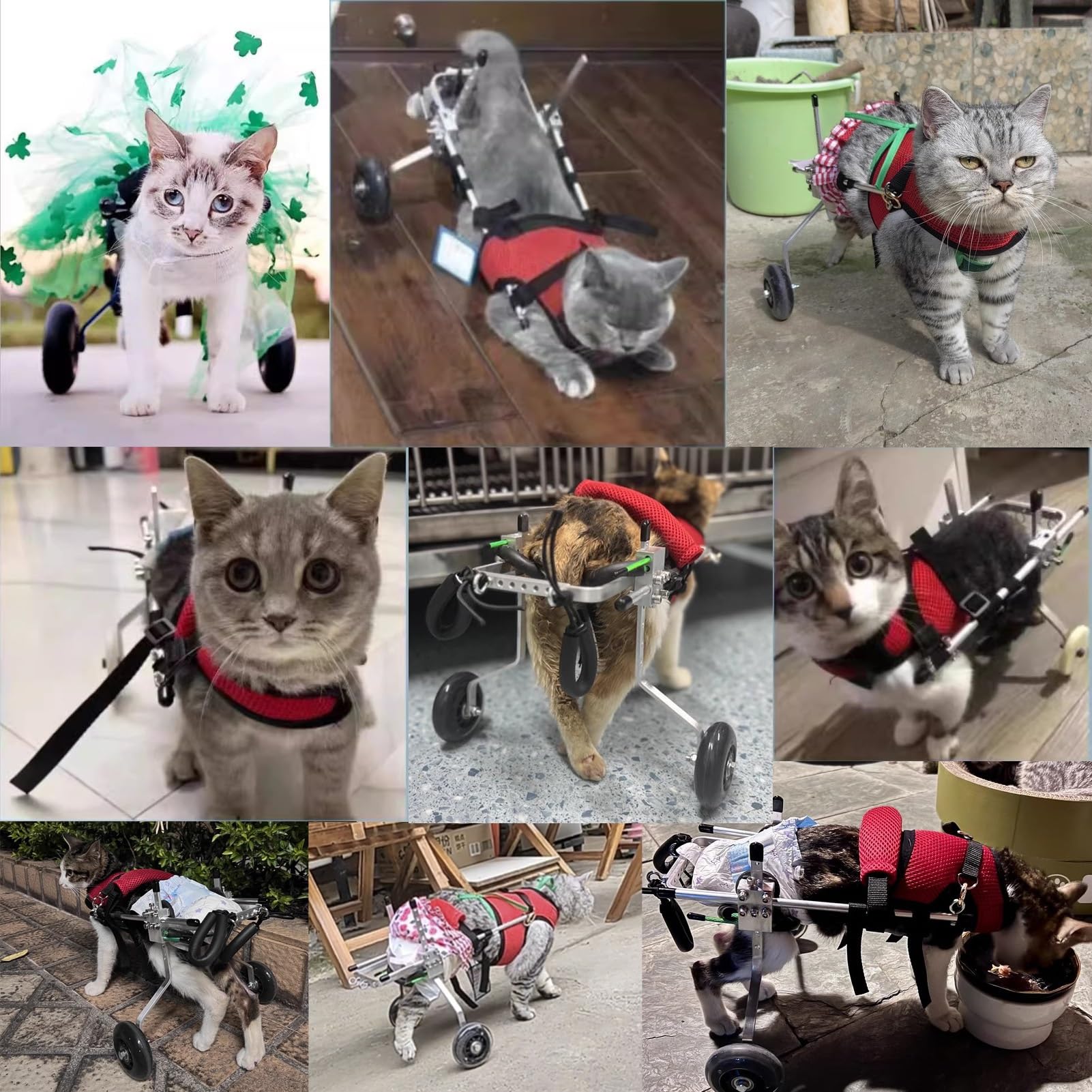 CMYUN Dog Wheelchair Extra Small Cat Wheelchair, Lightweight Cats/Rabbits/Dog Wheelchair for Back Legs, Cat Exercise Wheels Rehabilitation Aid, Easy to Move(X-Small)