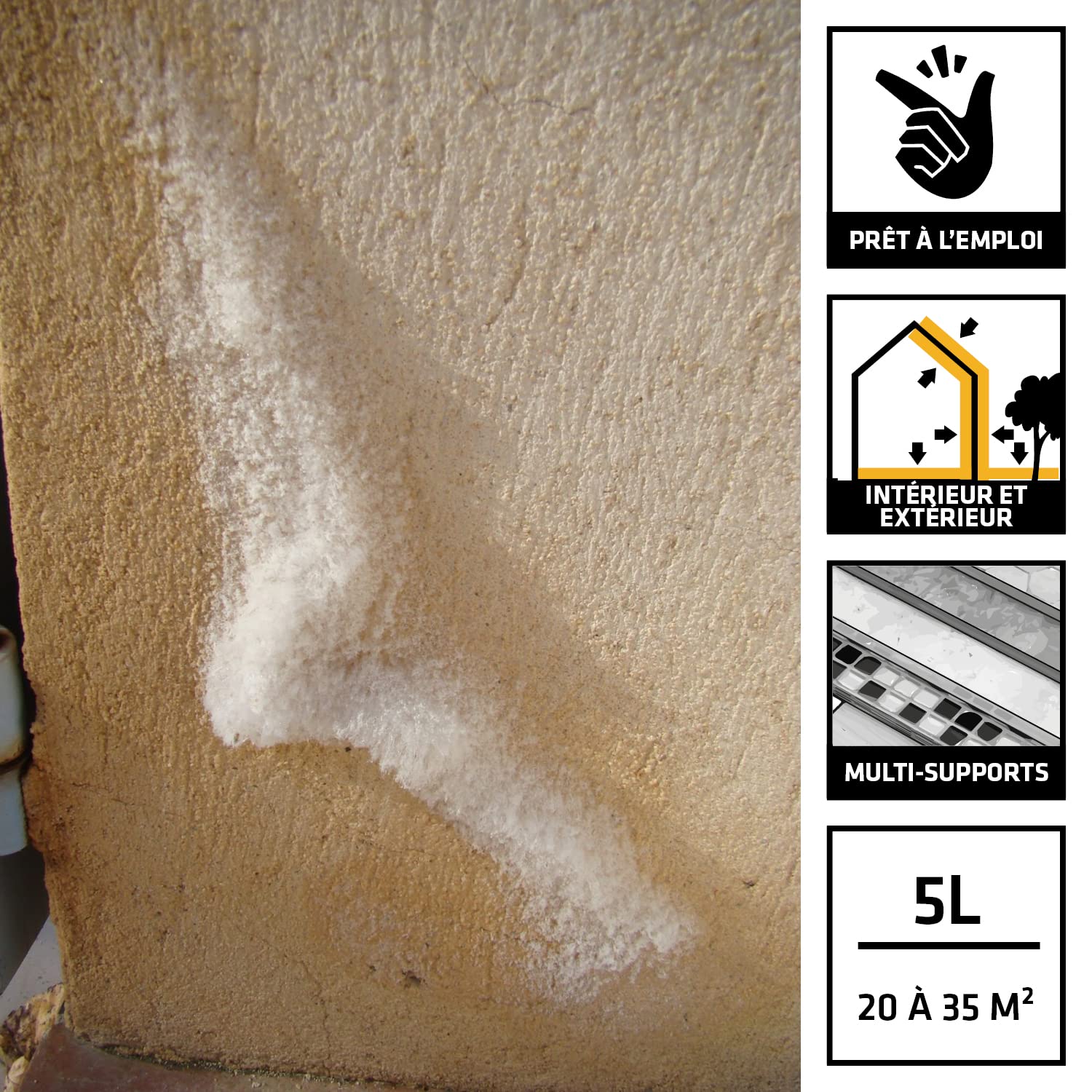 SIKA - Traitement bactéricide contre le salpêtre - Sikagard 165-5L