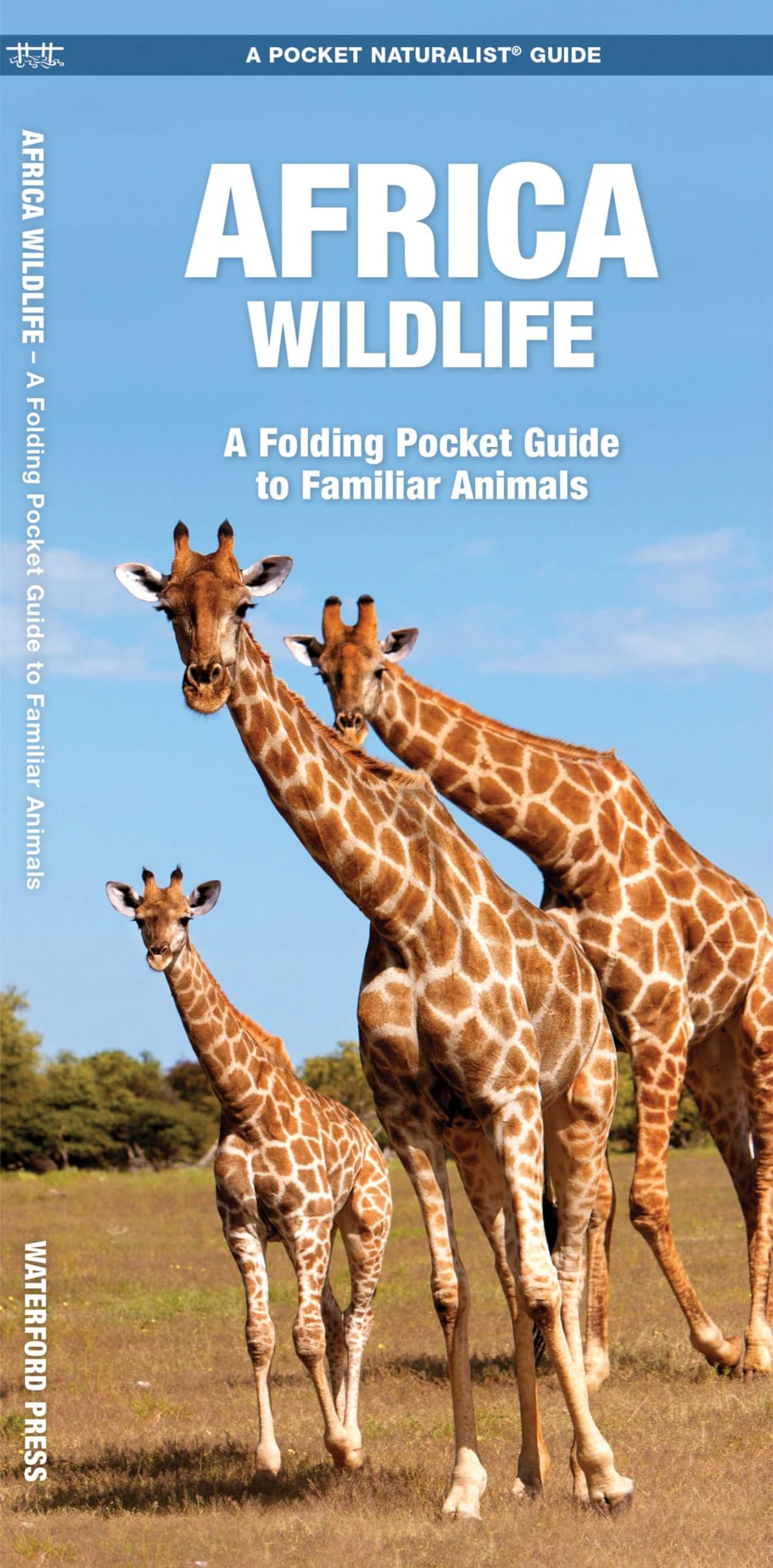 African Wildlife: A Folding Pocket Guide to Familiar Species (A Pocket Naturalist Guide) (Pocket Naturalist Guide Series)