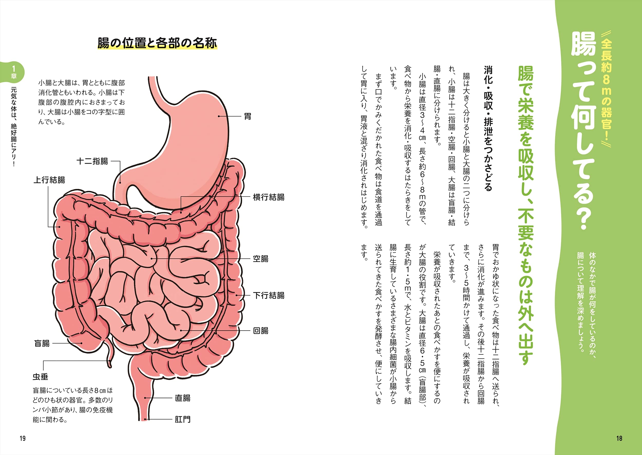 自律神経が整う身体が生まれ変わる マンガでわかる 不腸リセット 江田 証 本 通販 Amazon 自律神経が整う身体が生まれ変わる マンガでわかる 不腸リセット 江田 証 本 通販 Amazon