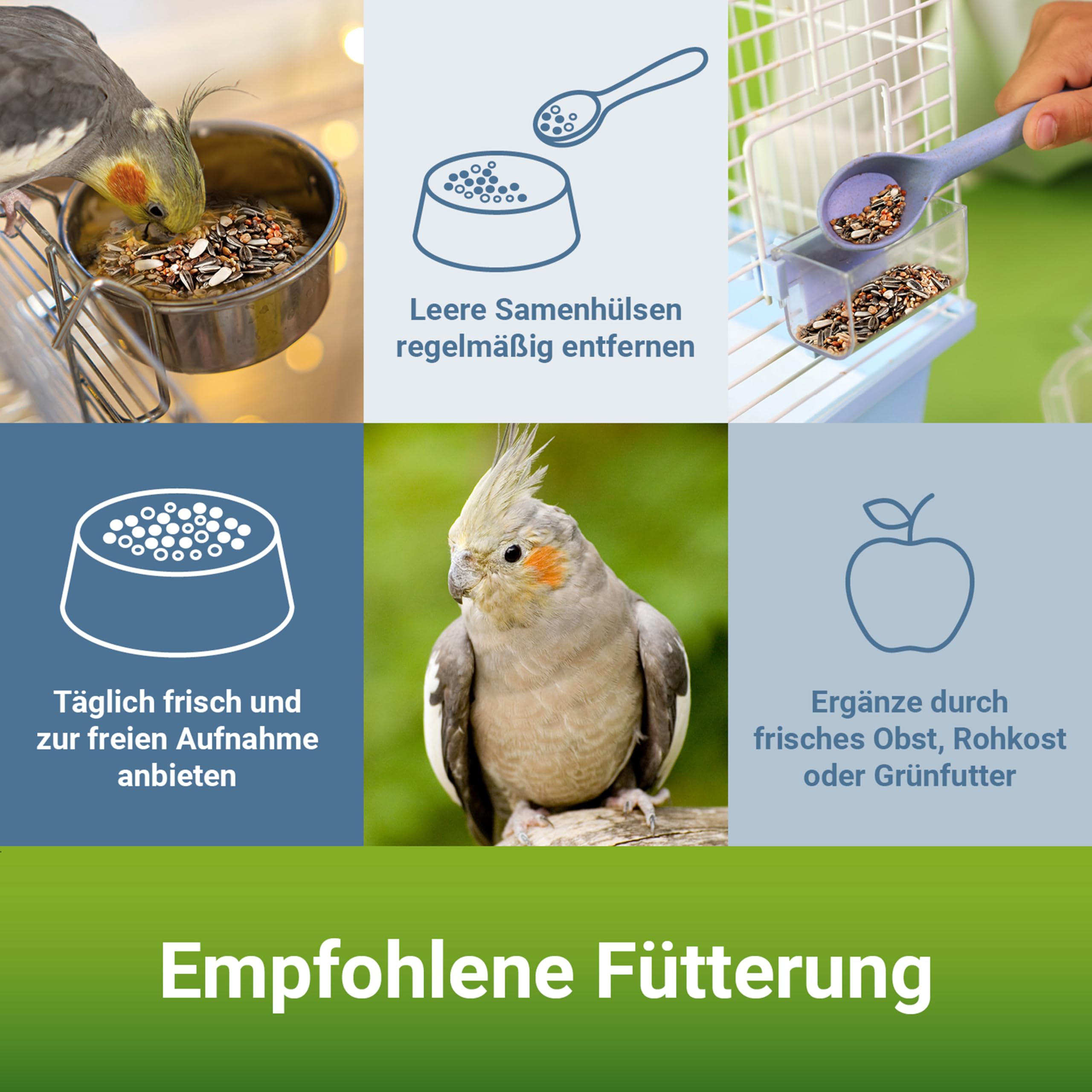 PANTO Großsittichfutter Spezial mit Pluramin 25 kg – ohne Sonnenblume | Bunte Saatenmischung ohne Sonnenblumenkerne – ausgewogenes, artgerechtes Vogelfutter für Großsittiche