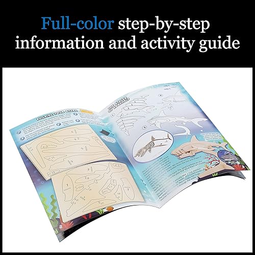 Miniatura 3 de WILD EnvironmentTAL SCIENCE Extreme Sharks of the World - Kit de manualidades científicas - Haz modelos, dioramas y estudia los animales más