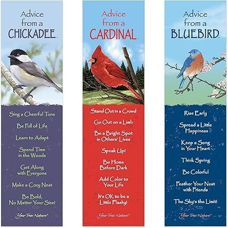 amazon com your true nature advice from nature 3 bookmark birds set laminated with glossy finish printed on recycled paper cardinal chickadee bluebird office products
